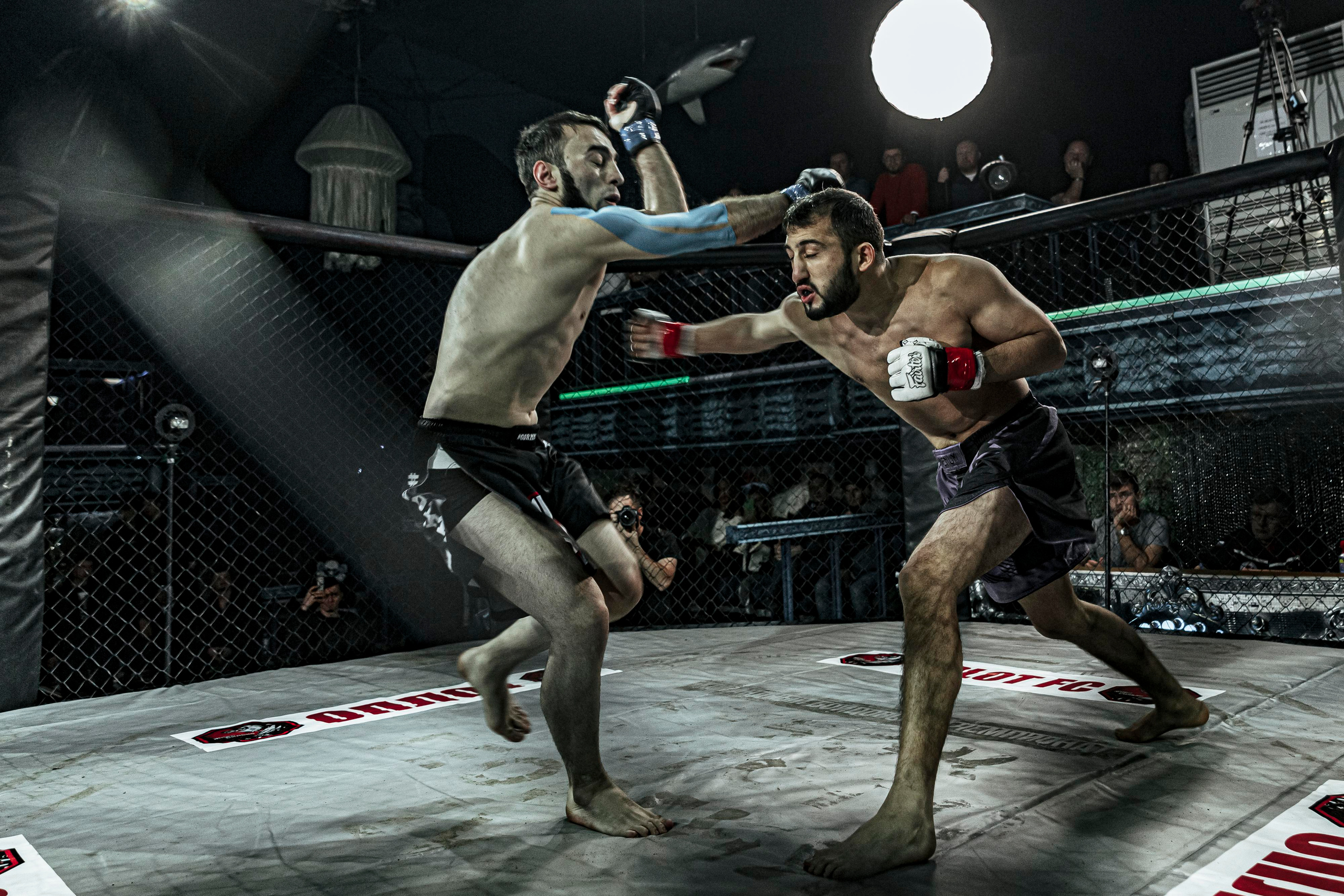 MMA. Фотограф Андрей Слынченко