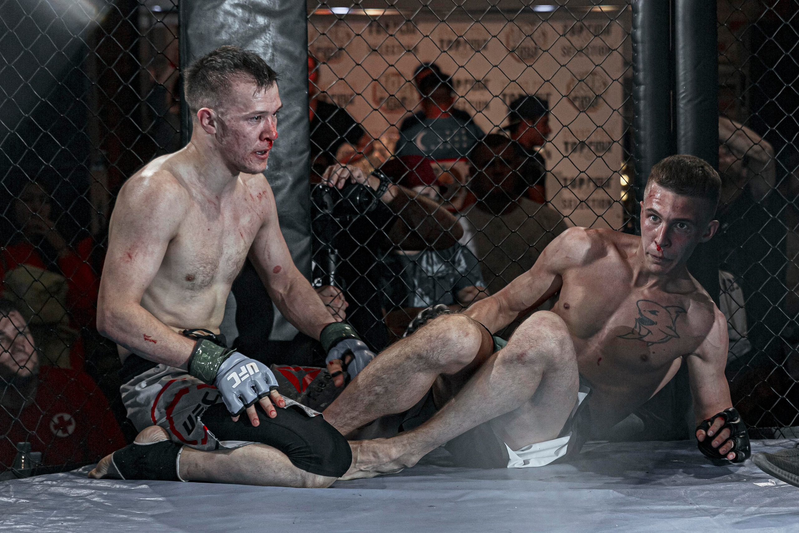 MMA. Фотограф Андрей Слынченко