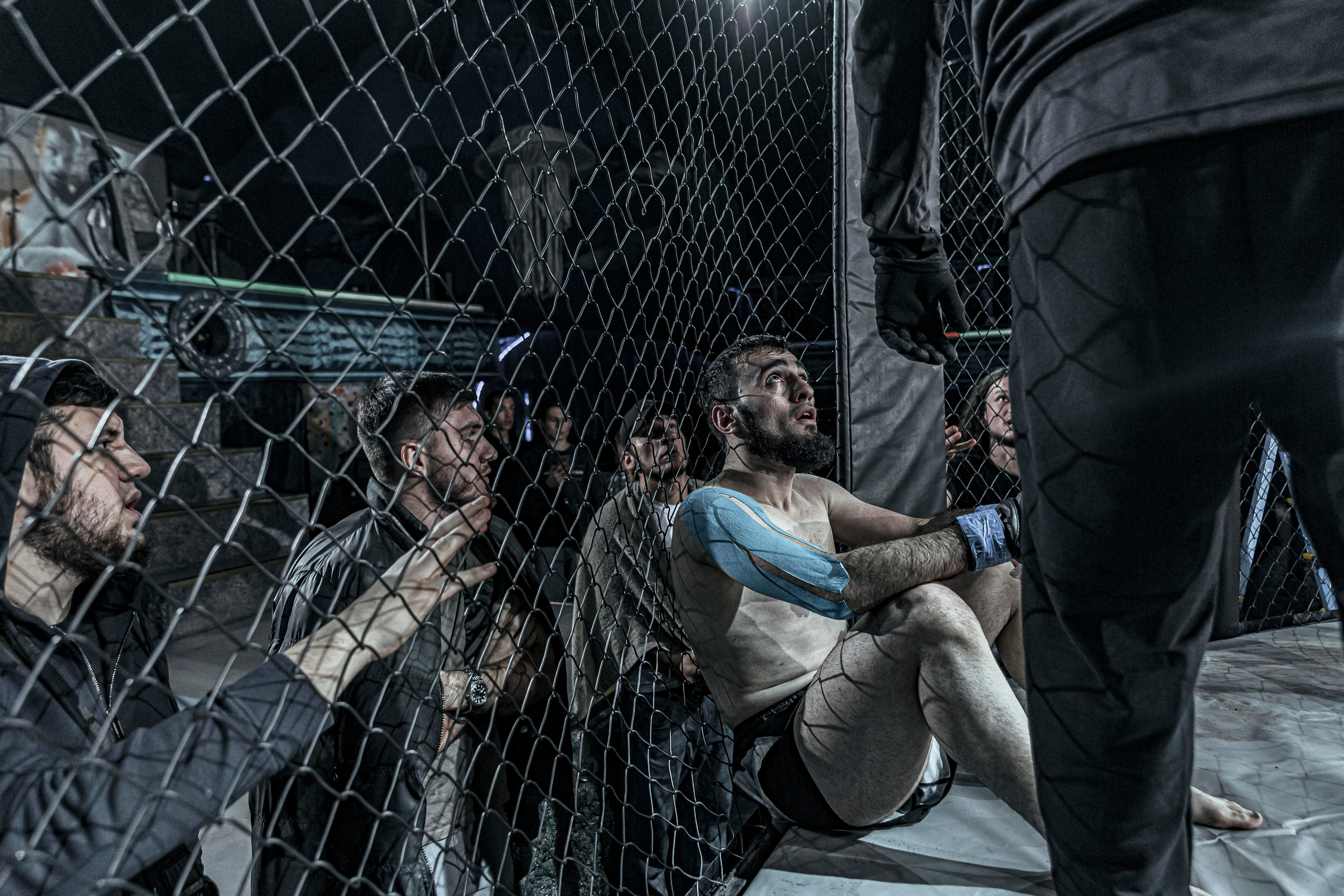 MMA. Фотограф Андрей Слынченко