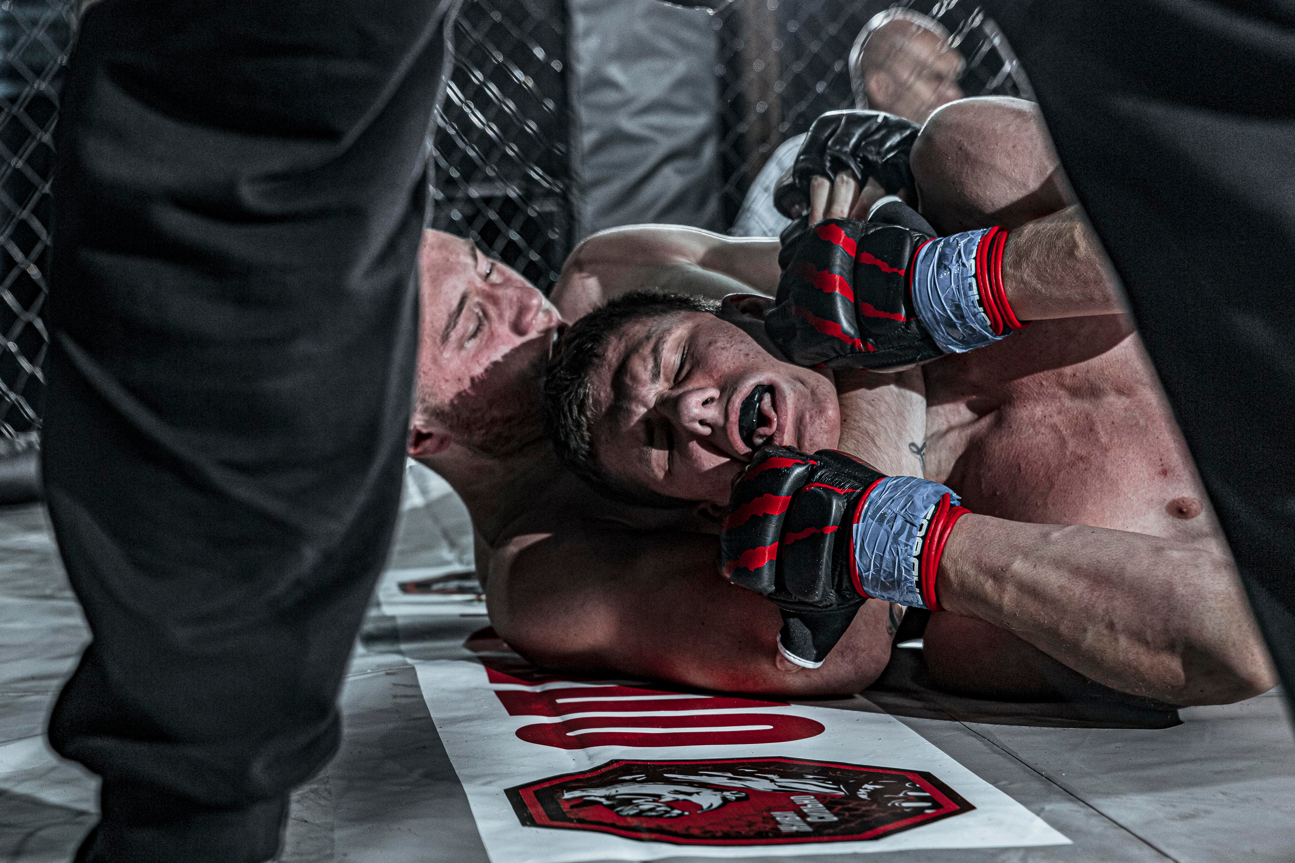 MMA. Фотограф Андрей Слынченко