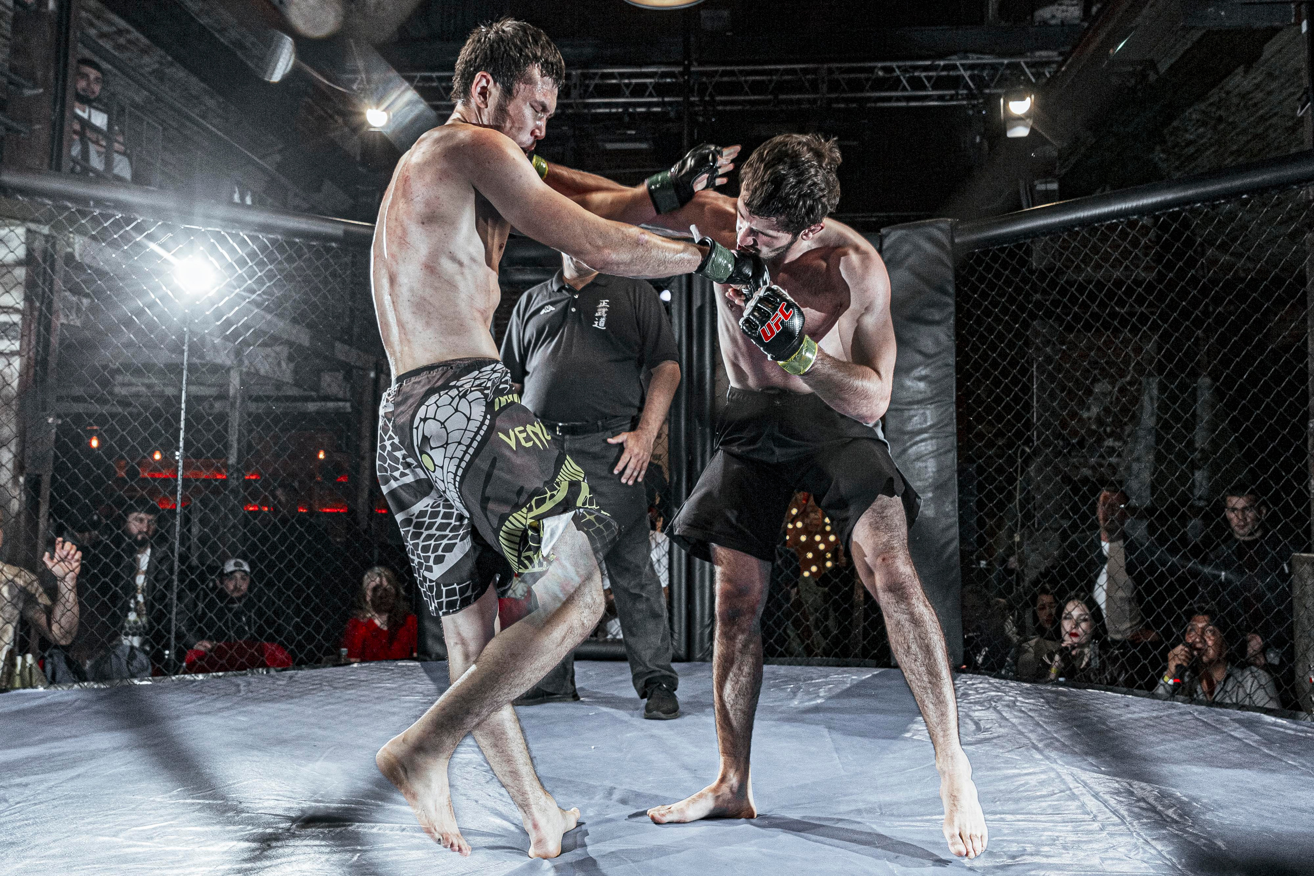 MMA. Фотограф Андрей Слынченко