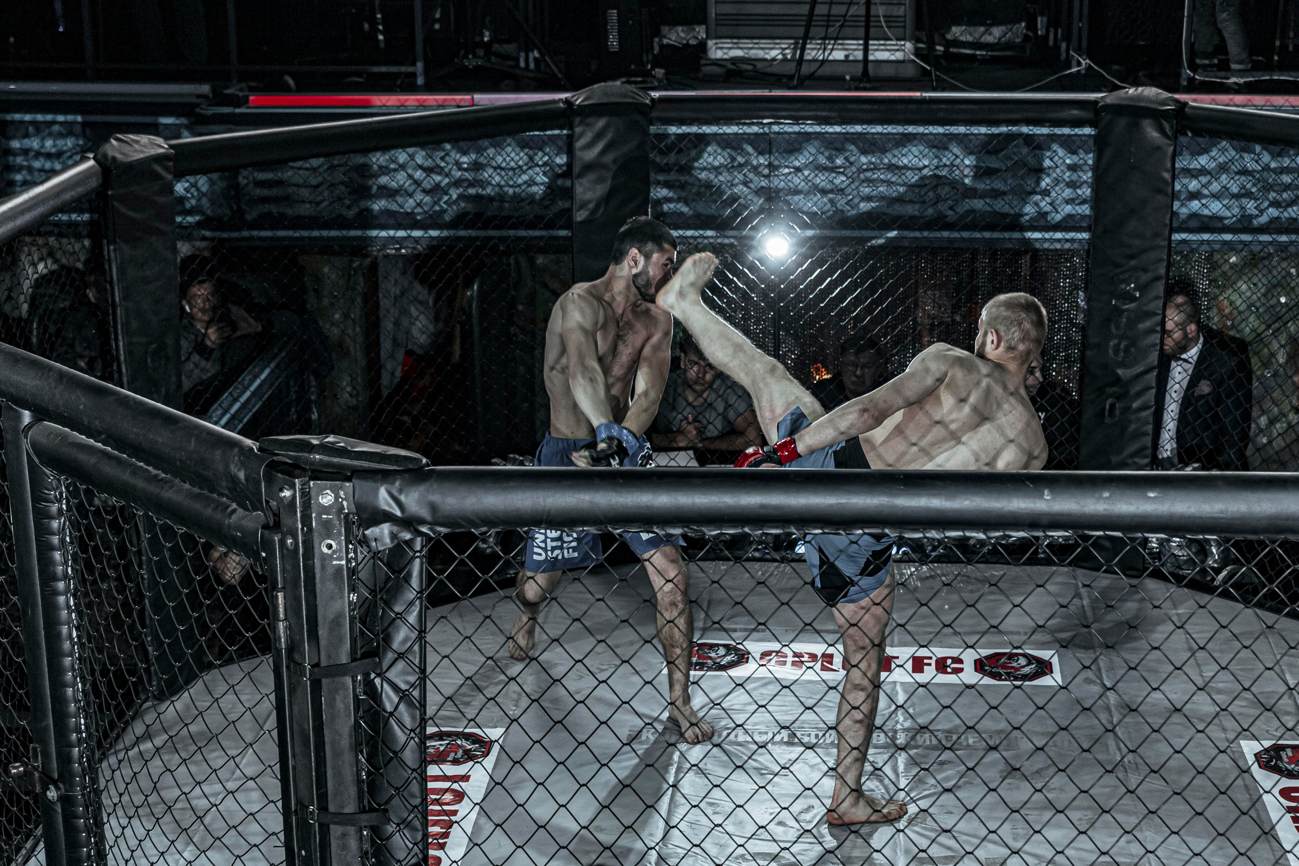 MMA. Фотограф Андрей Слынченко