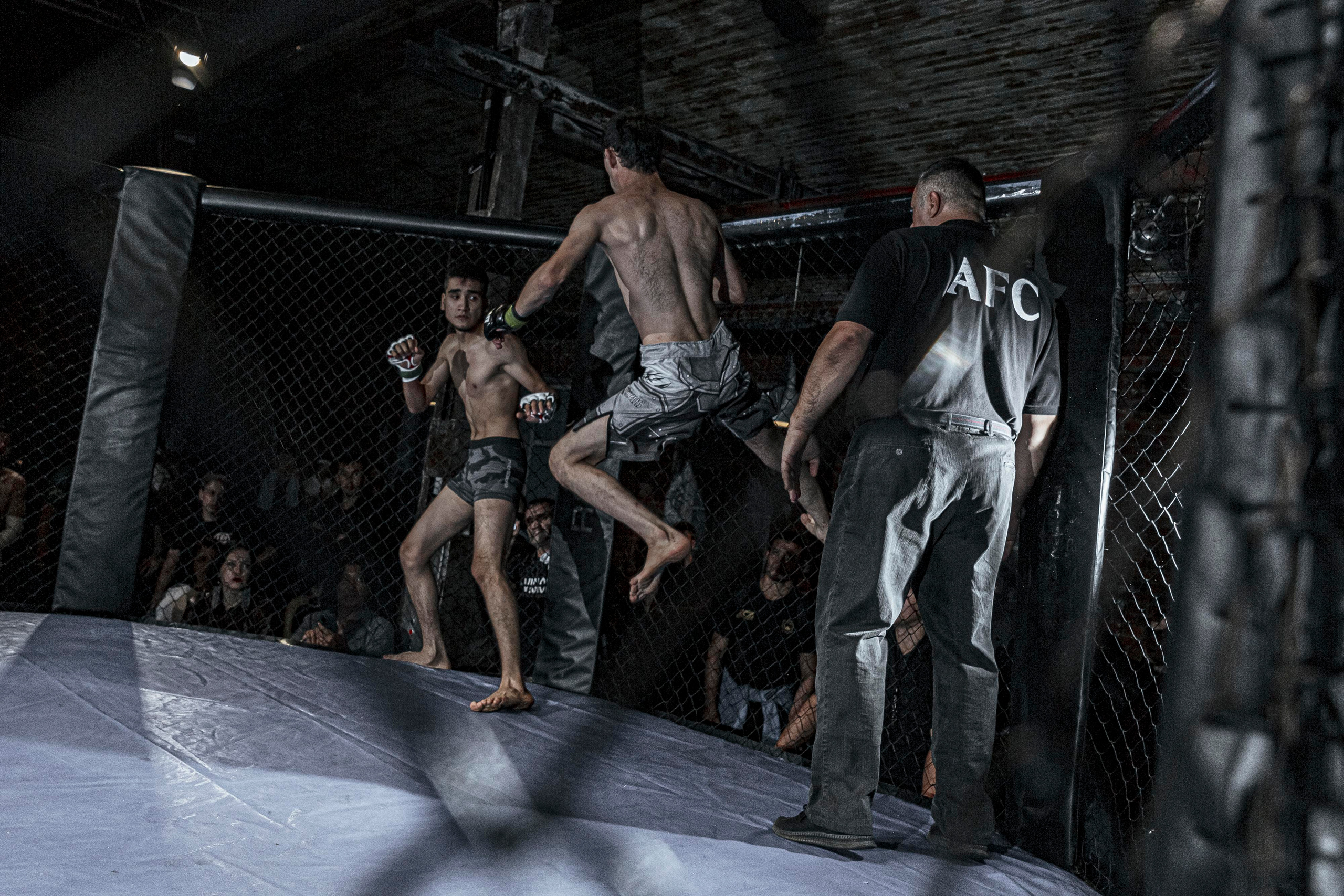 MMA. Фотограф Андрей Слынченко