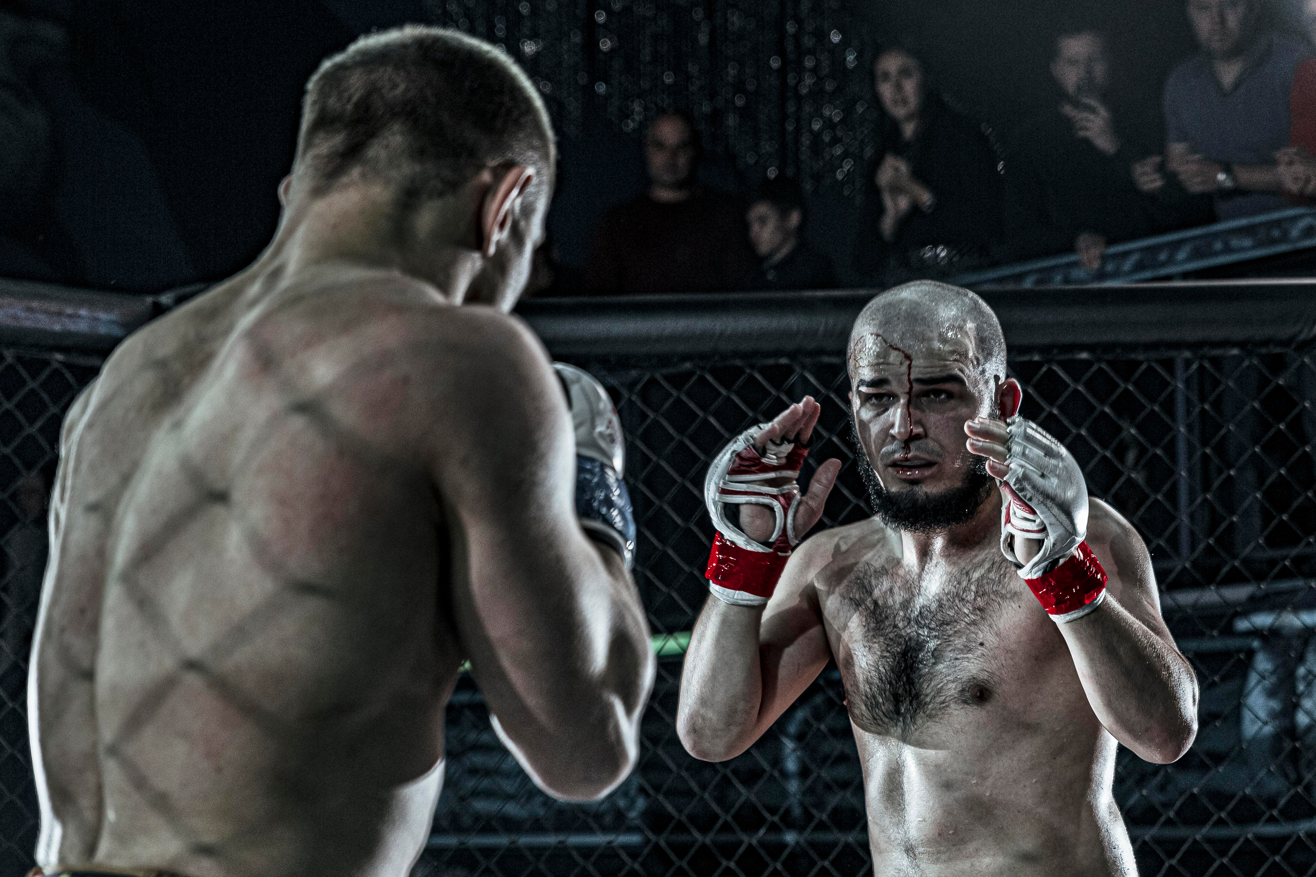 MMA. Фотограф Андрей Слынченко
