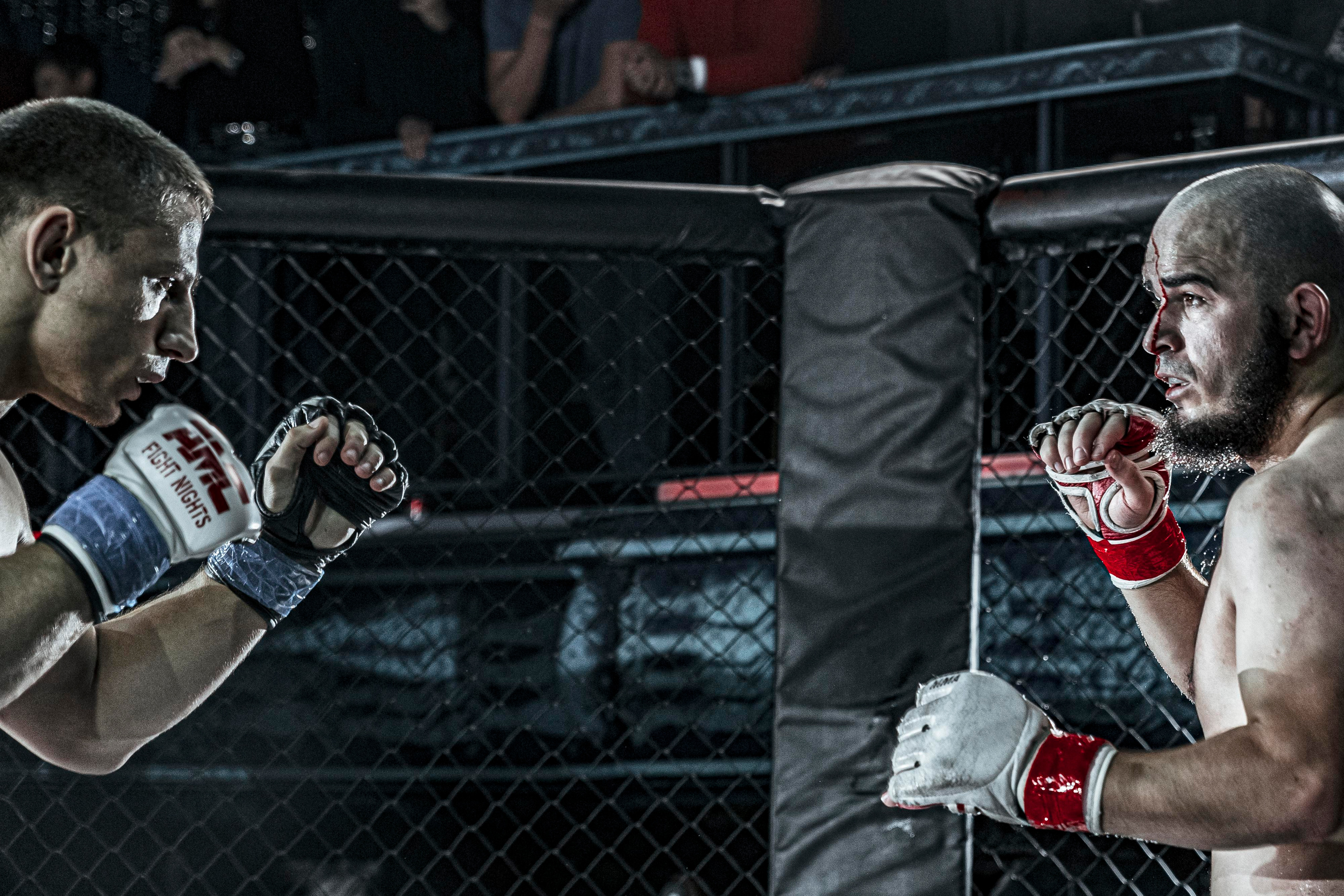 MMA. Фотограф Андрей Слынченко