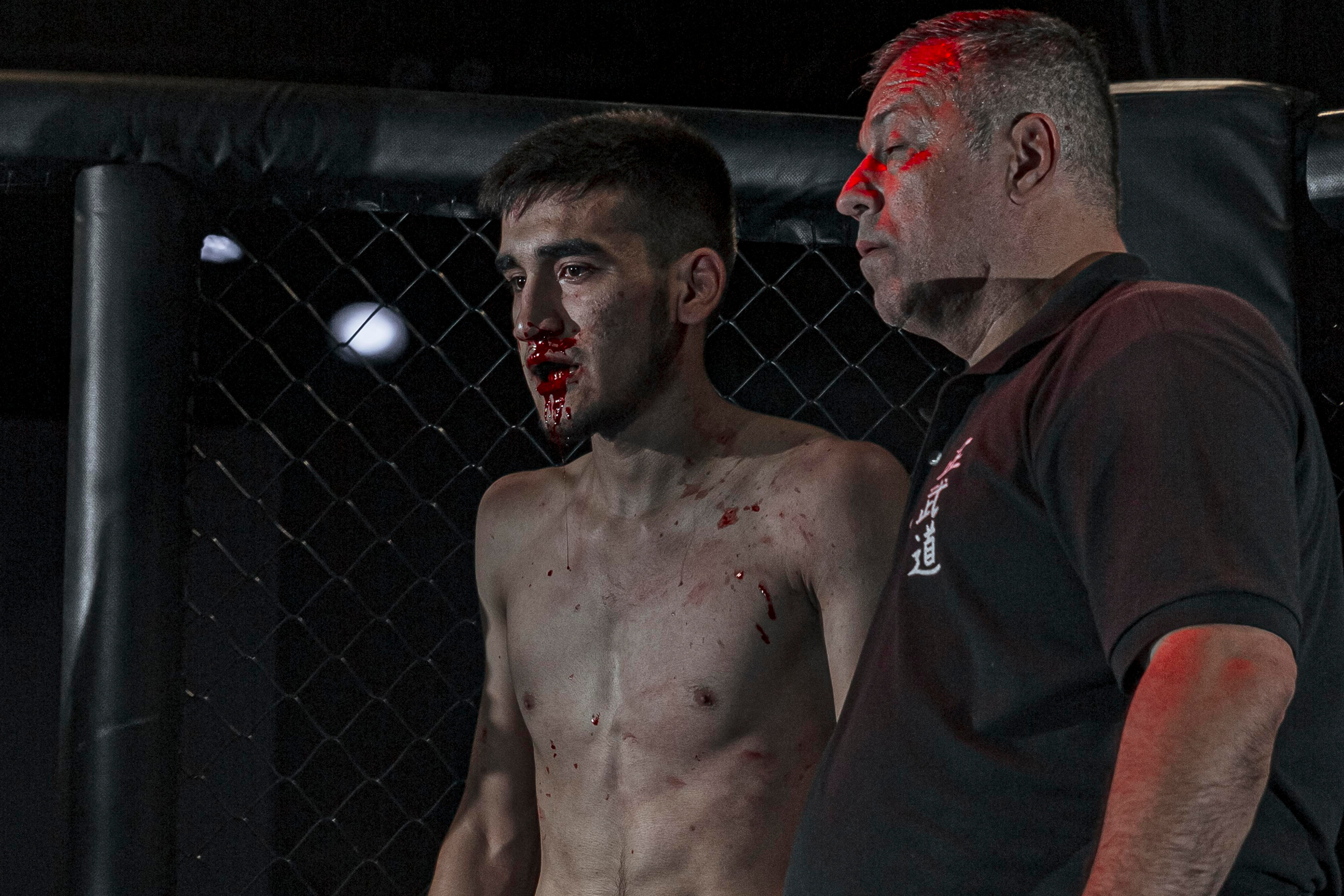 MMA. Фотограф Андрей Слынченко