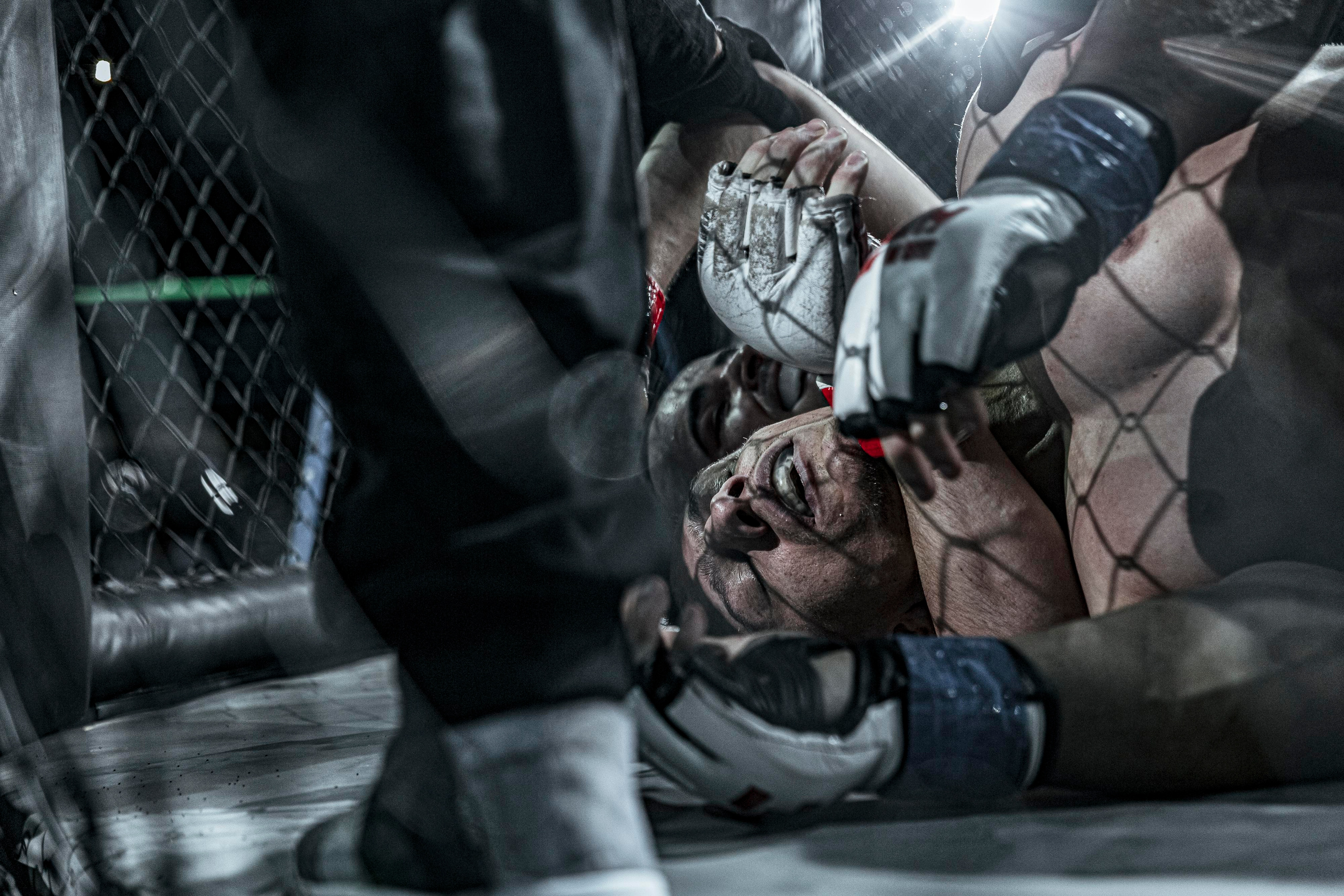 MMA. Фотограф Андрей Слынченко