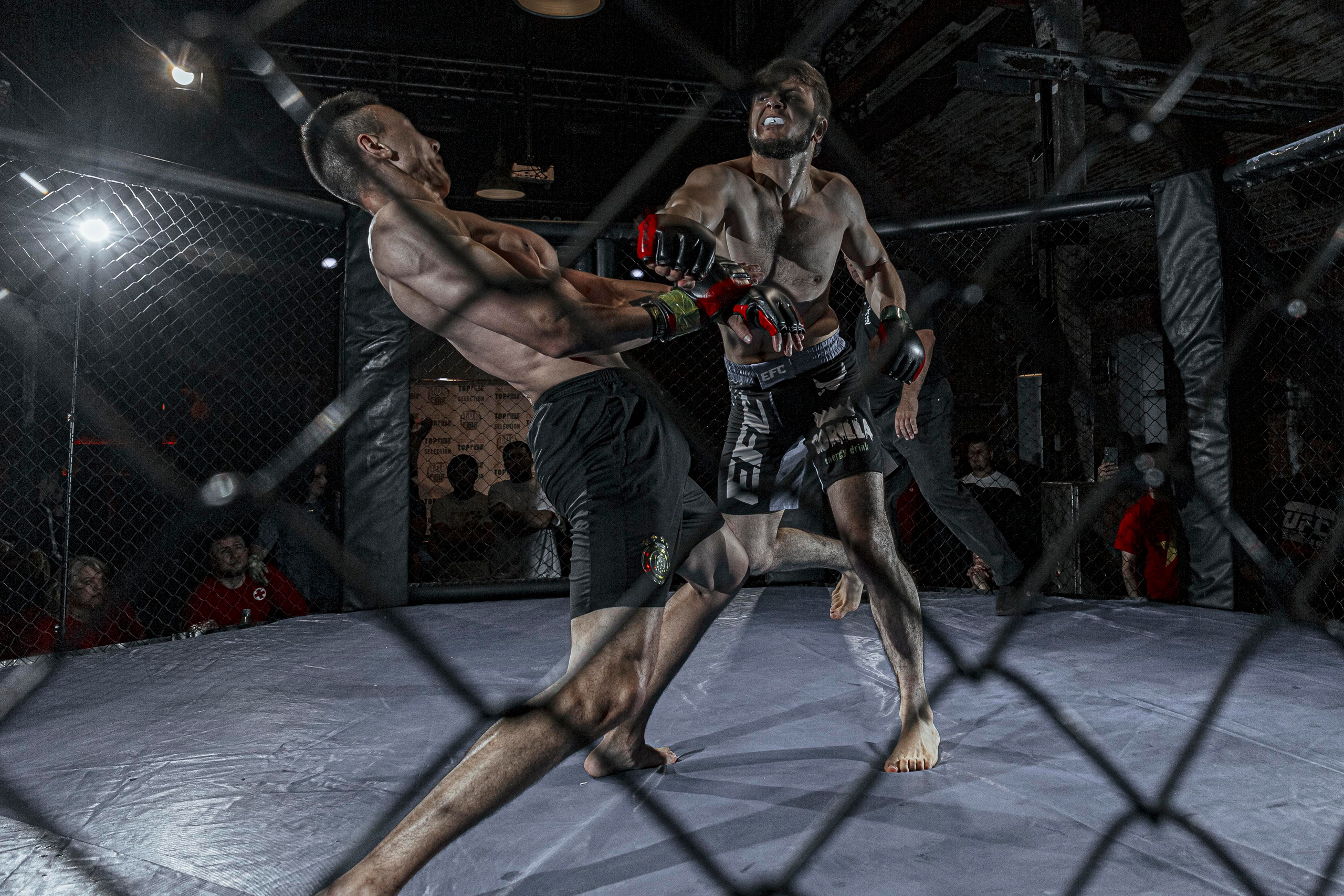 MMA. Фотограф Андрей Слынченко