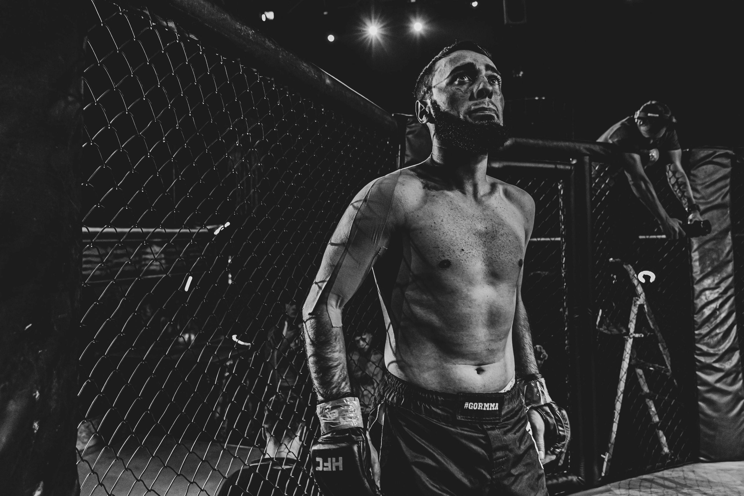 MMA. Фотограф Андрей Слынченко