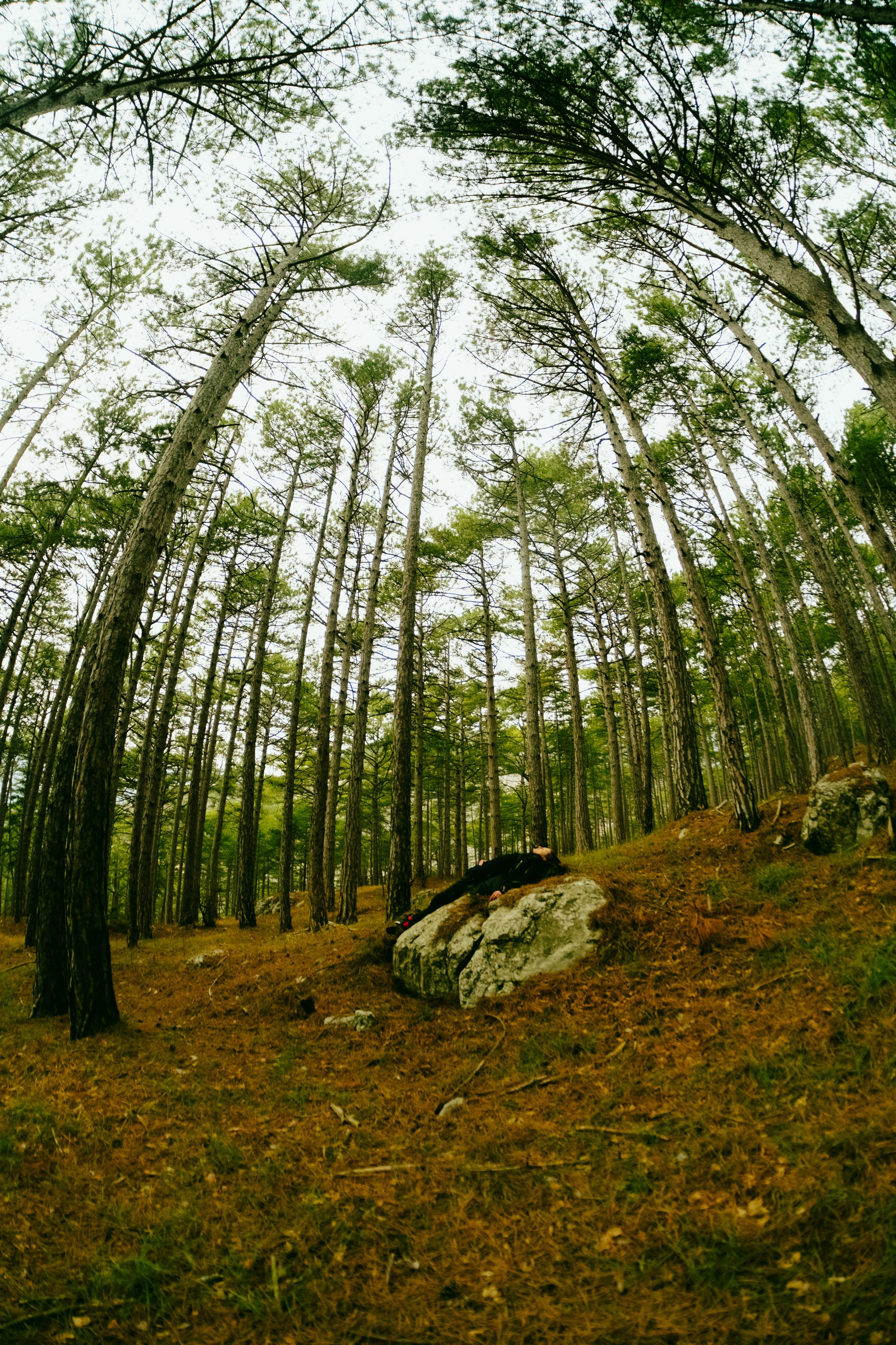 Артём. Фотограф, видеограф в Санкт-Петербурге