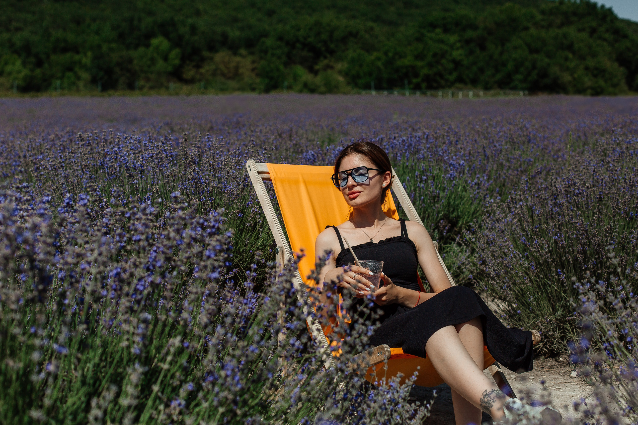 Лавандовые поля