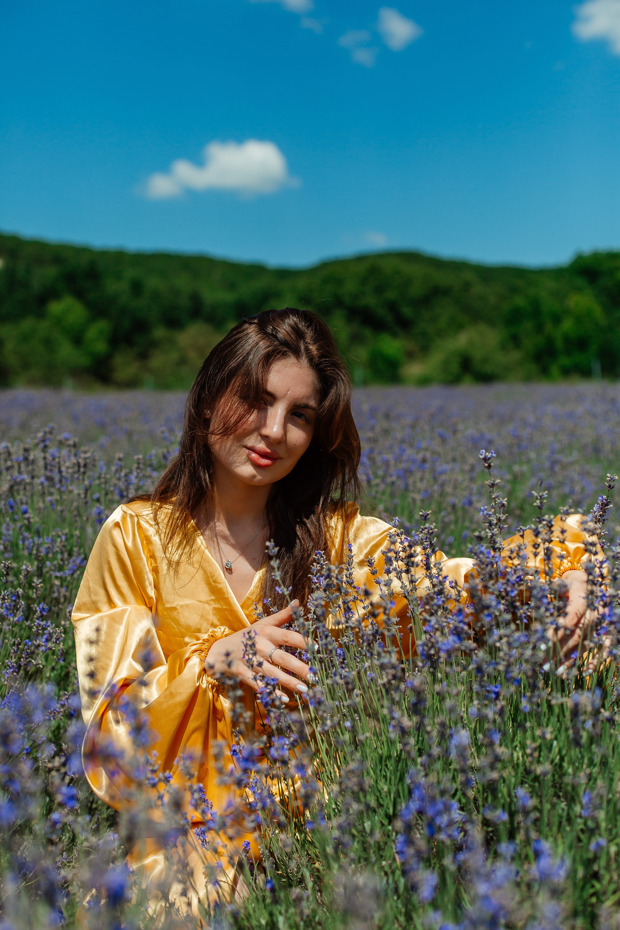 Лавандовые поля