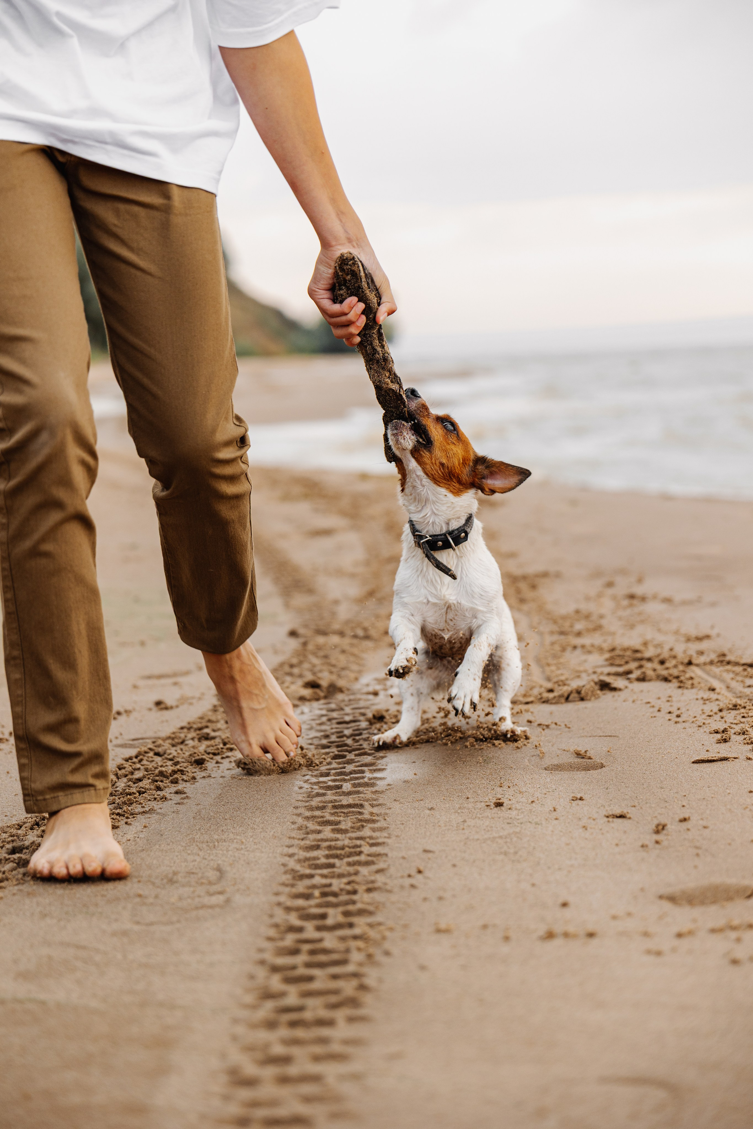 Вова Оксана Герман Варя Маша Вика. Фотограф Юлия Абдульмянова