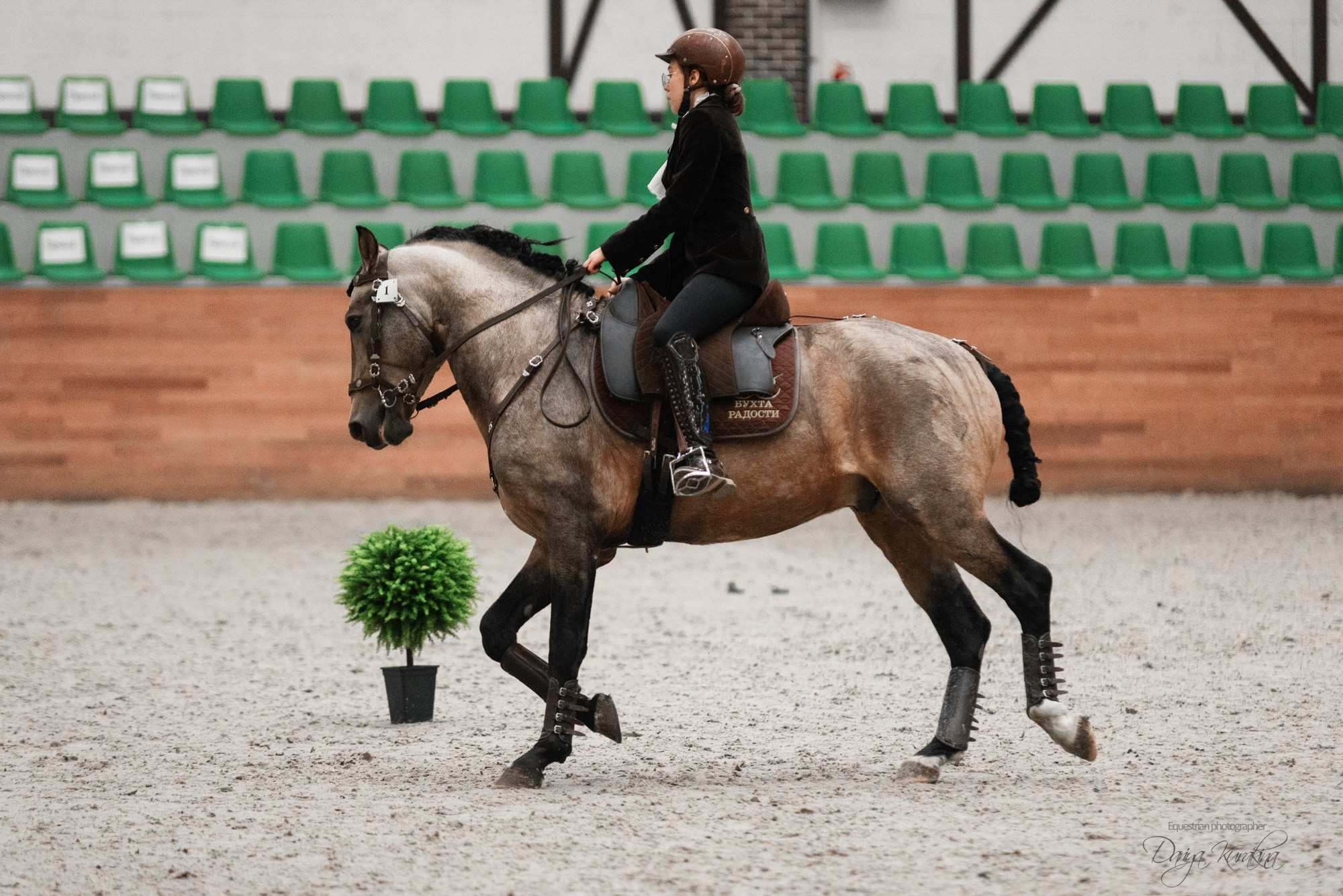 8-я международная выставка Конная Россия. Конный фотограф Куракина Дарья • Фотосессии с лошадьми