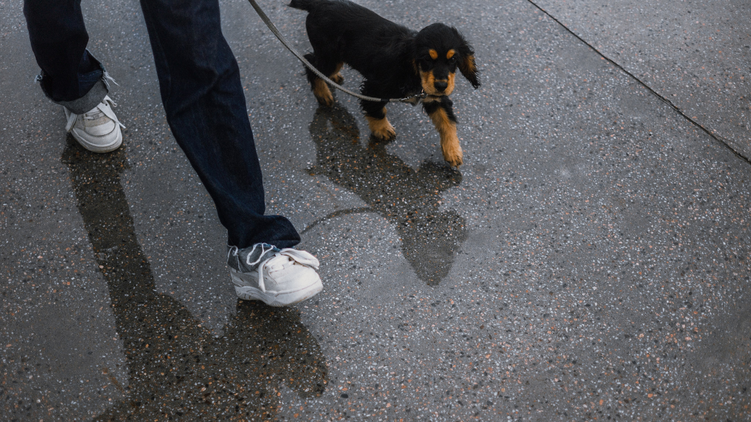 Аня и Ривер. Фотограф-анималист Богданова Полина