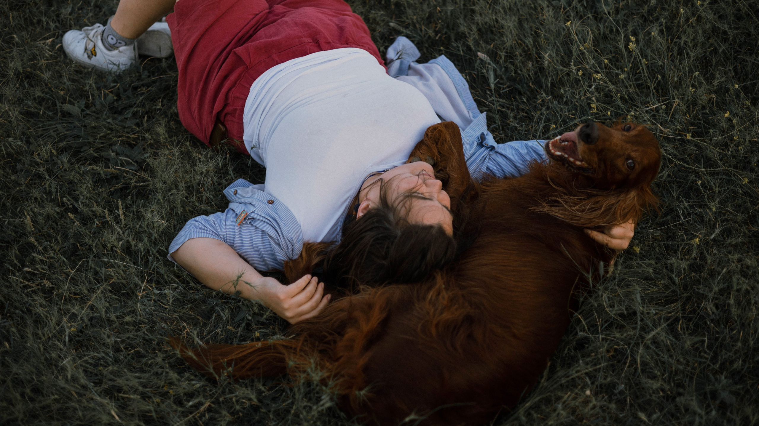 Ольга и Шеймас. Фотограф-анималист Богданова Полина