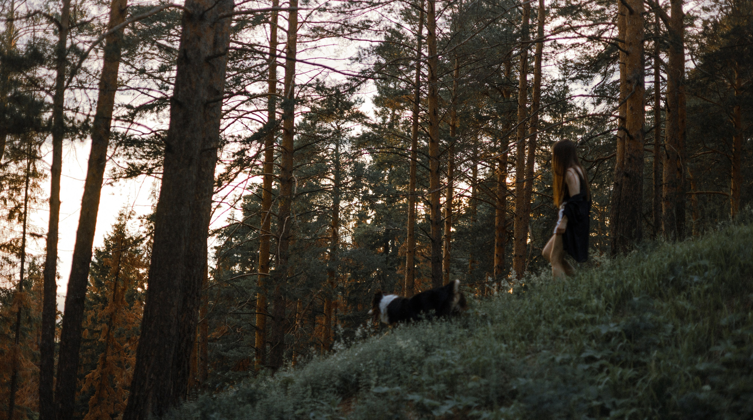Яна и Уга. Фотограф-анималист Богданова Полина
