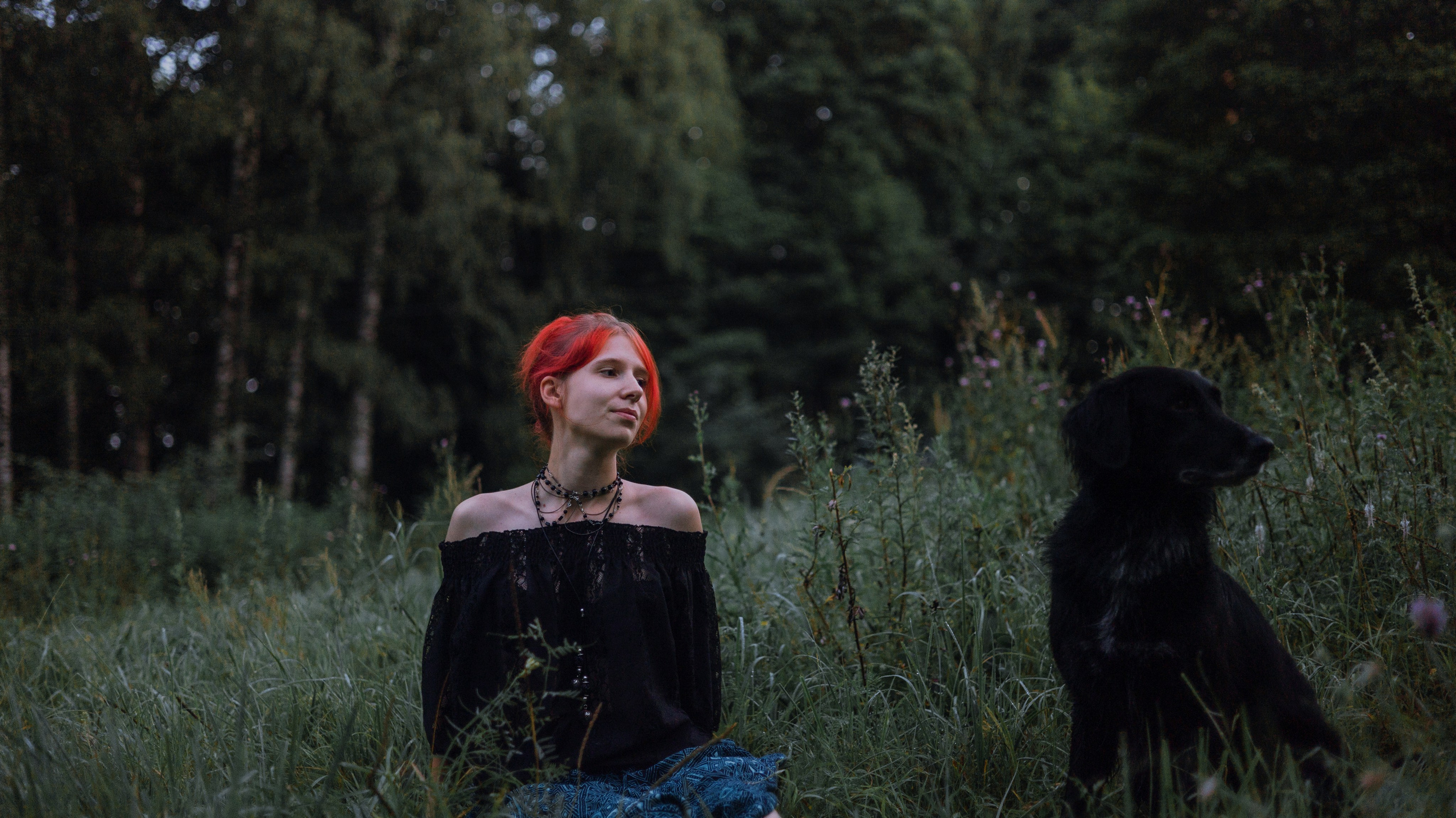 Лиза и Коди. Фотограф-анималист Богданова Полина