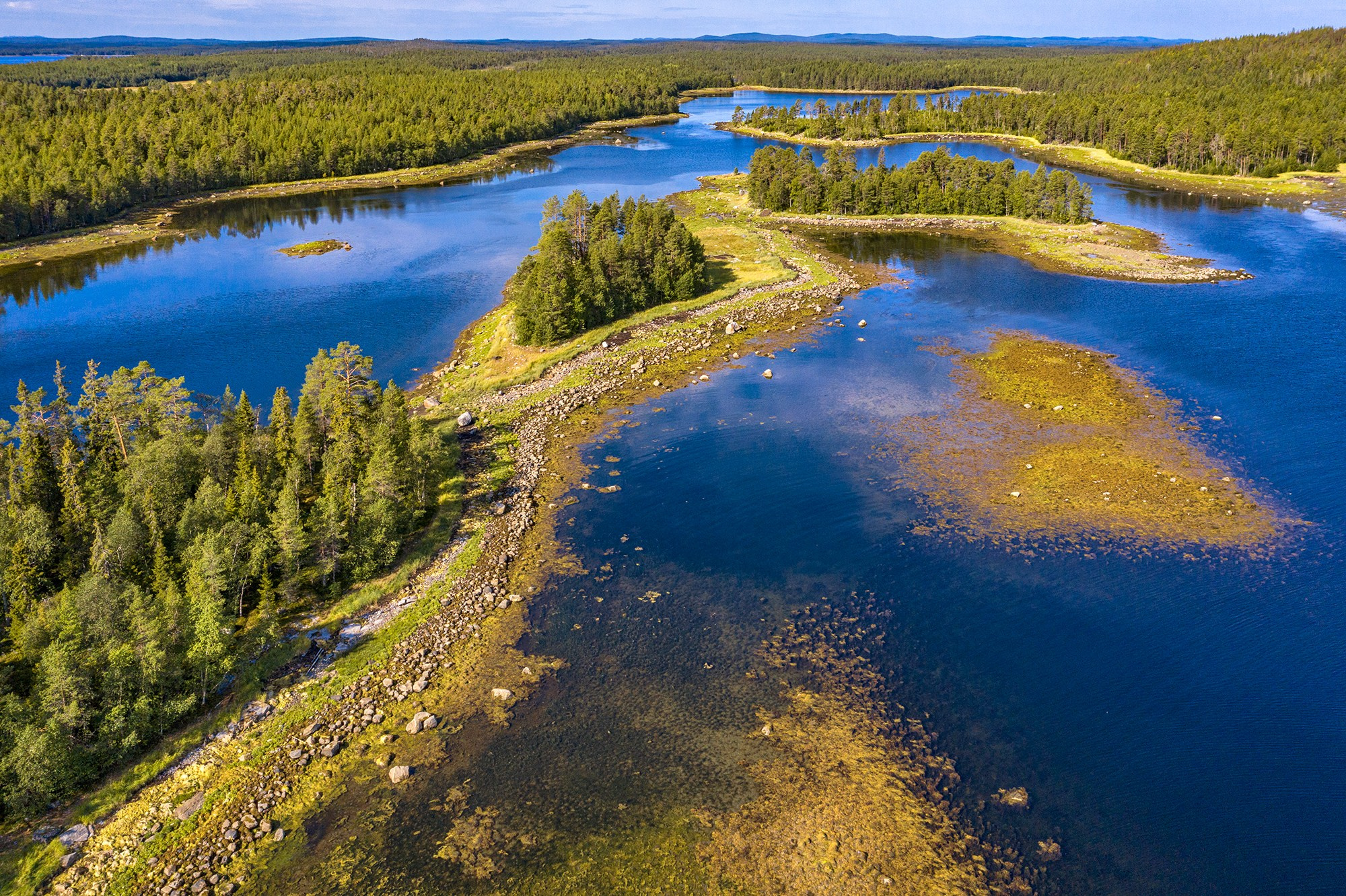Беломорье, Россия. Фотограф Владимир Остапенко