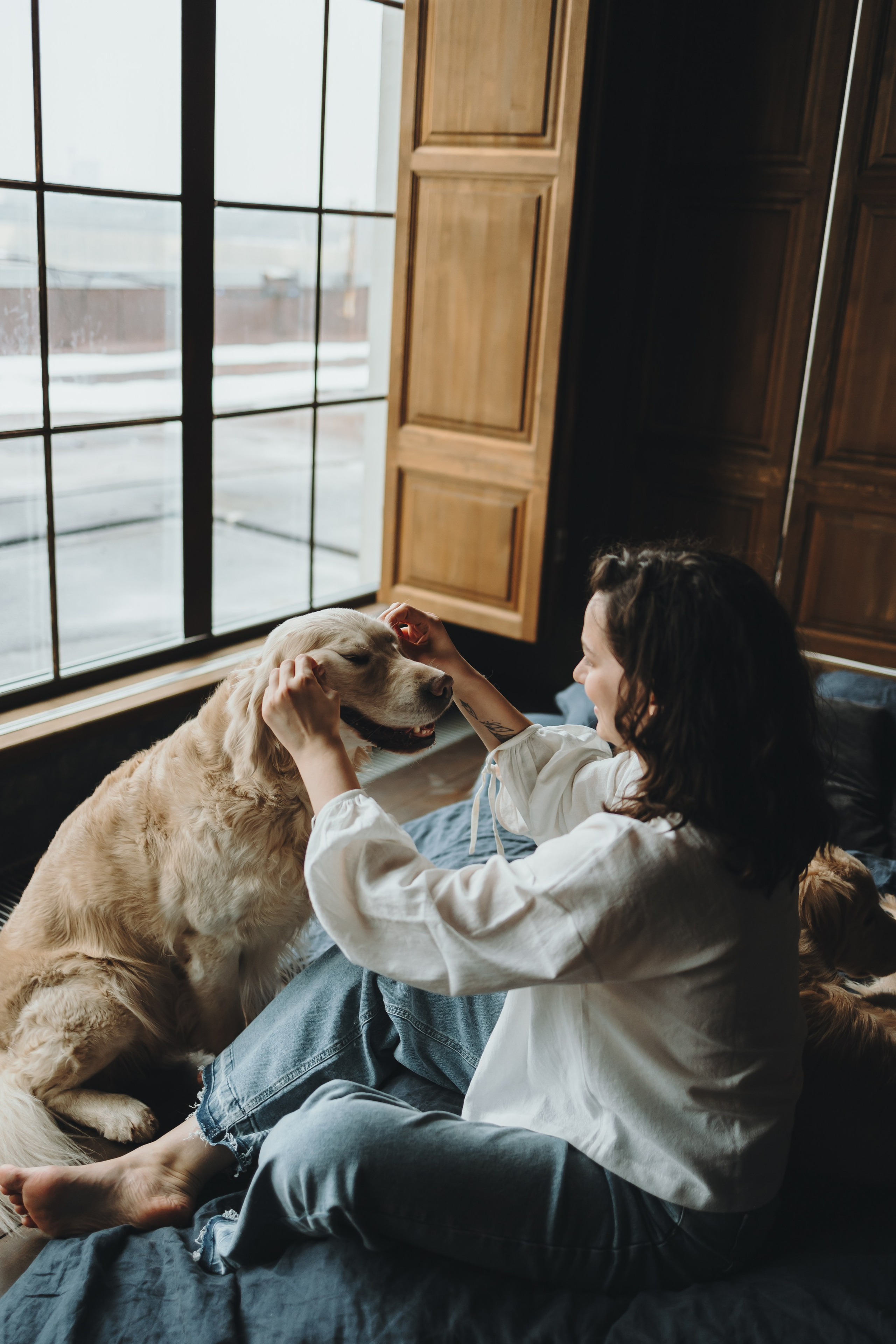Настя, Арчи и Арагон. Фотограф-анималист в Санкт-Петербурге Алина Яхонт