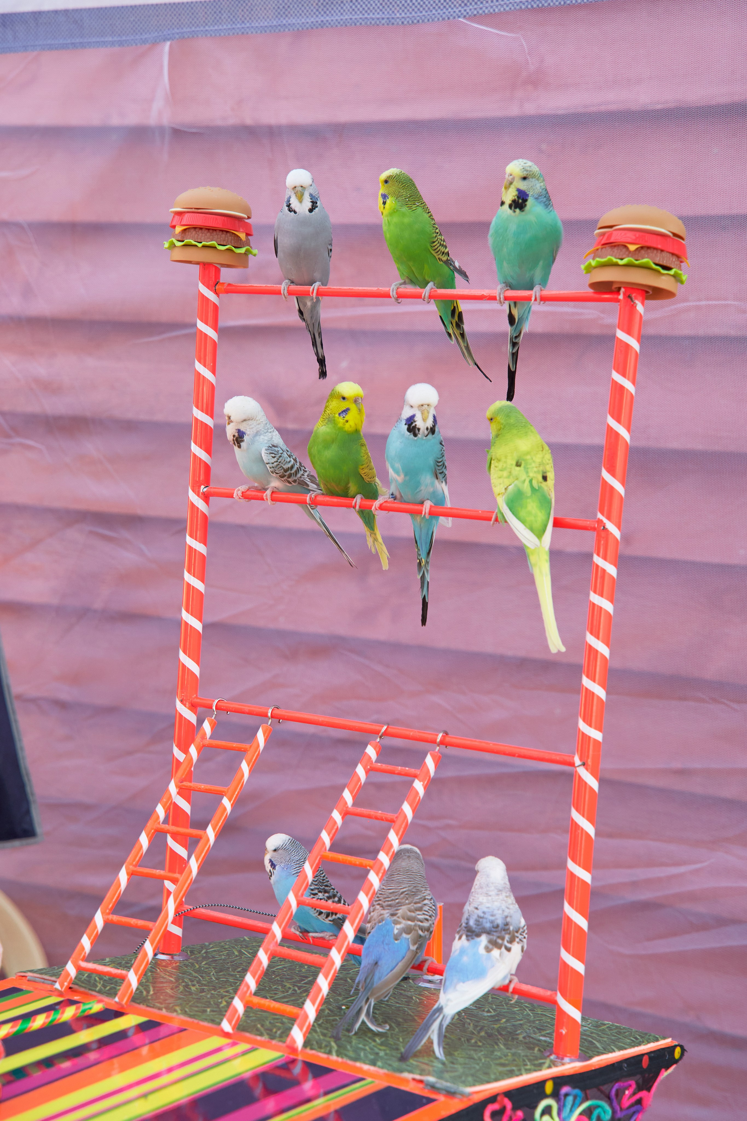 День рождения Максима. Yankovski_001