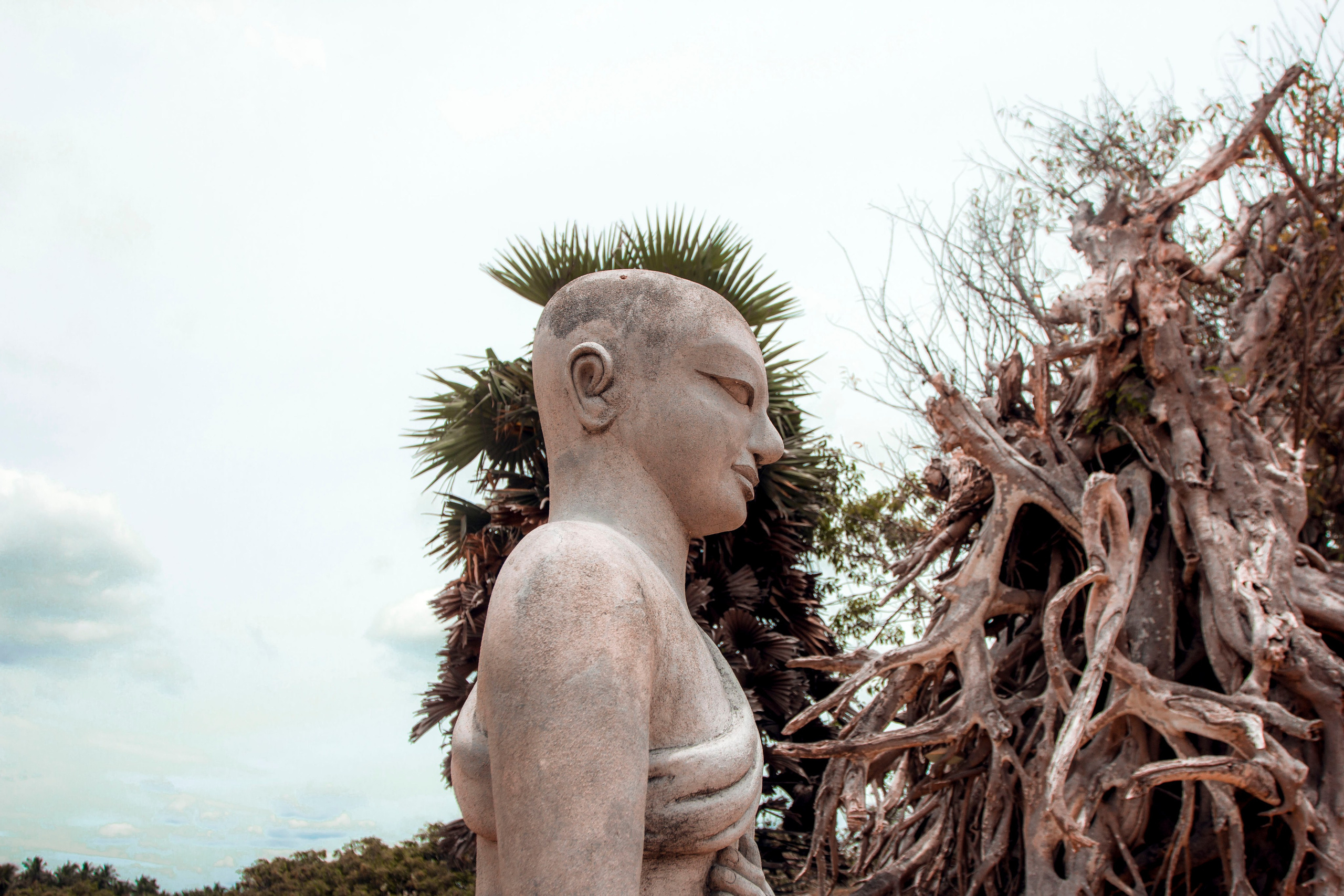 Sri Lanka. Art Photographer