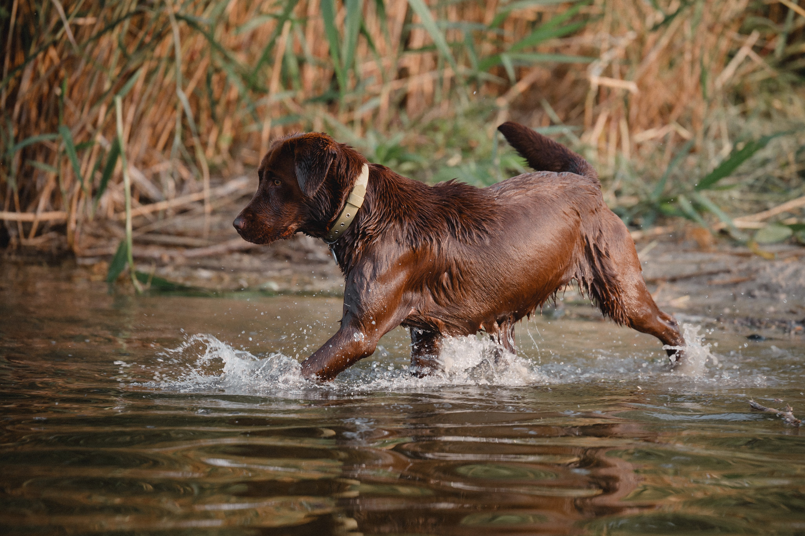 Анечка и Дэя. Фотограф в Ростове —на — Дону