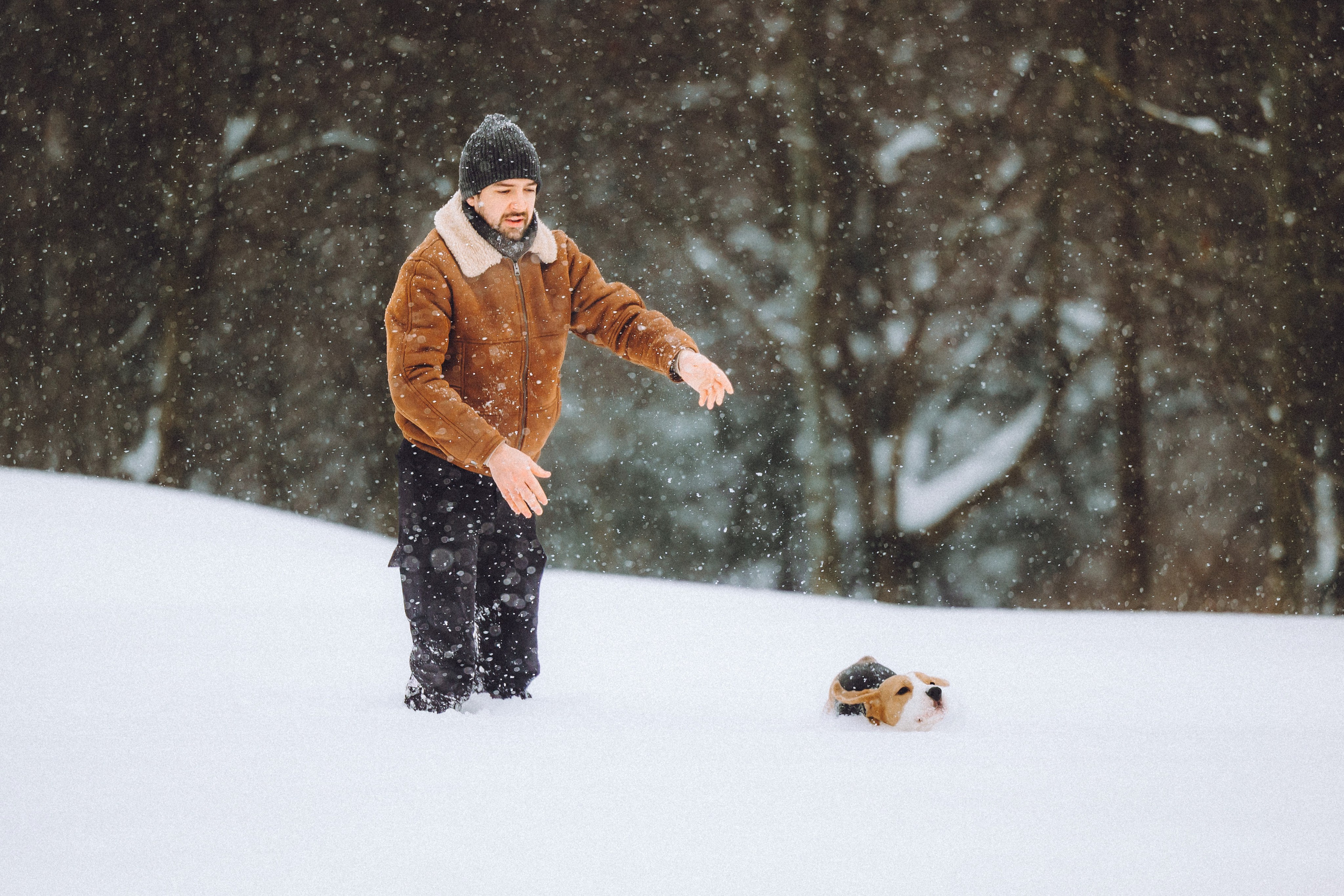 Роман, Портер и Коррес