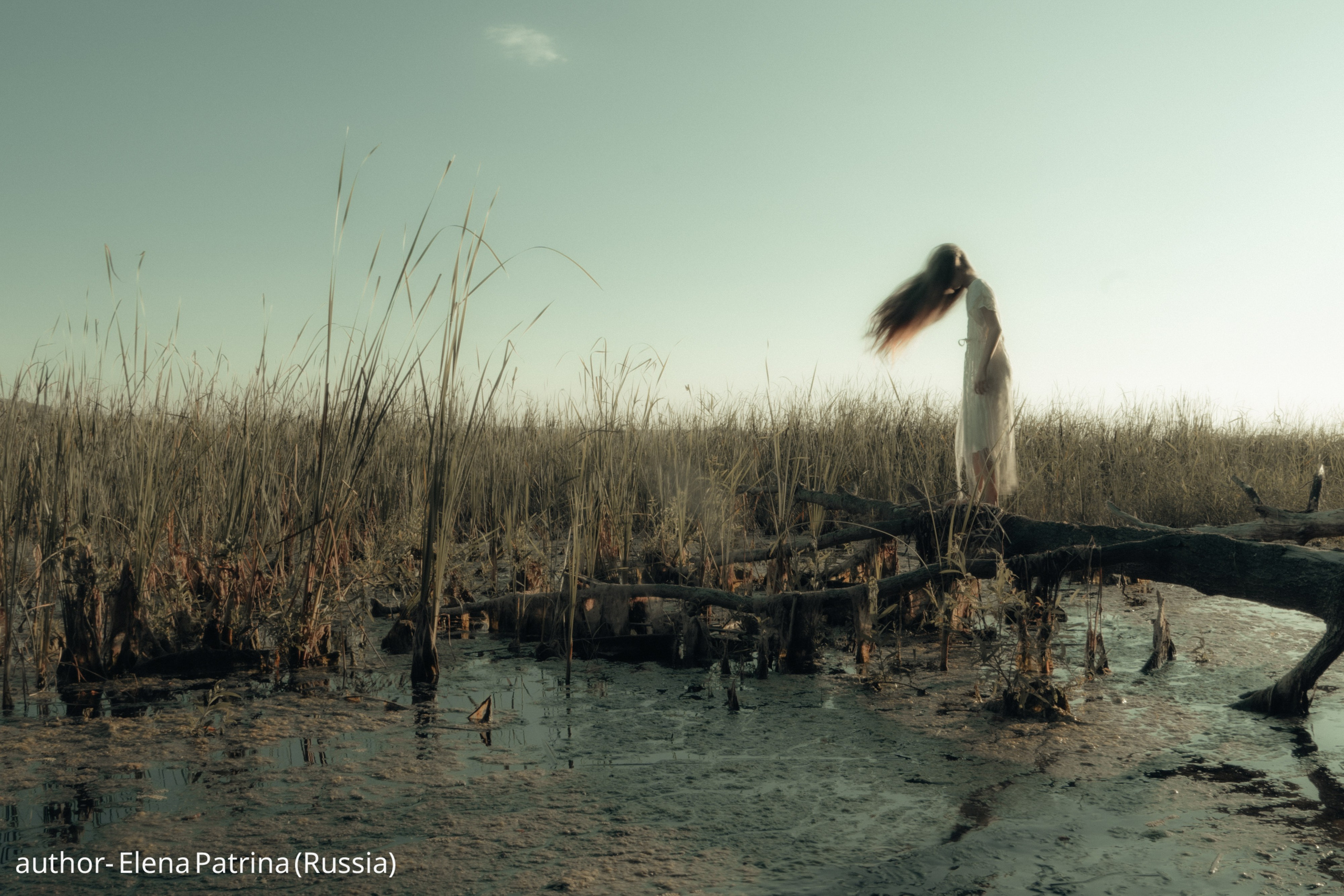 Gallery. UNUSUAL TALENT magazine