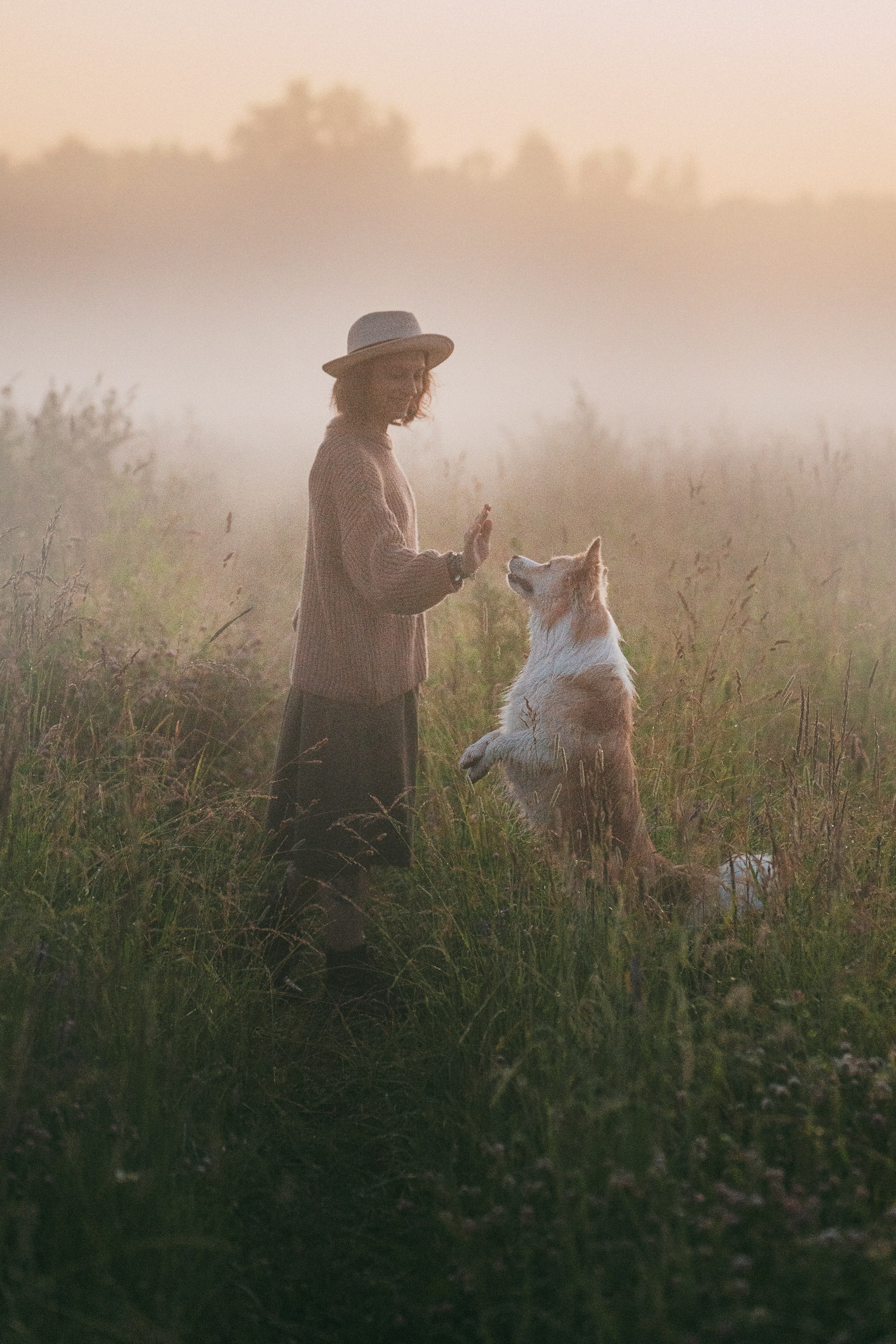 Рина и Марси. Фотограф анималист в Москве и Санкт-Петербурге Свиридова Анна