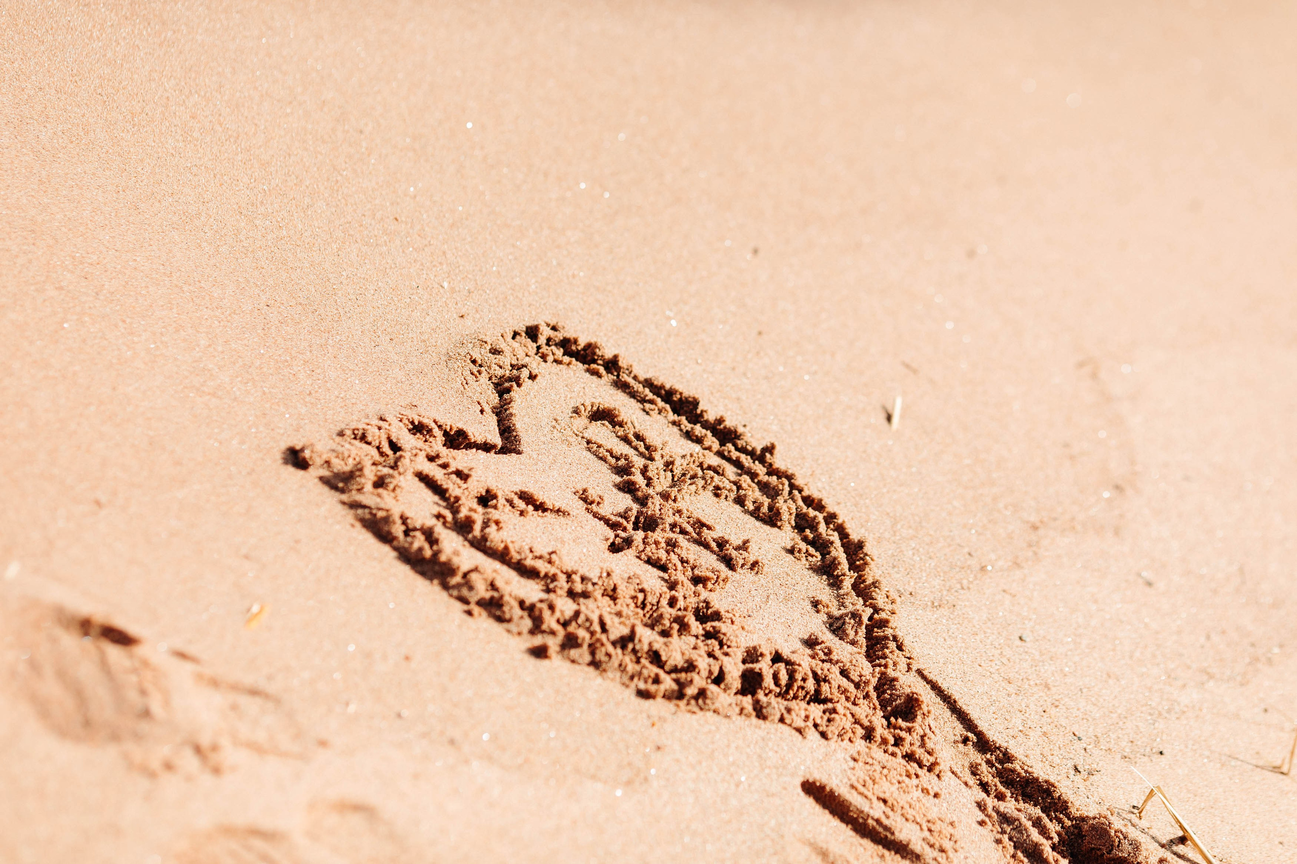 Alexandr & Darya. Детский и семейный фотограф в Санкт-Петербурге и области Никова Вика