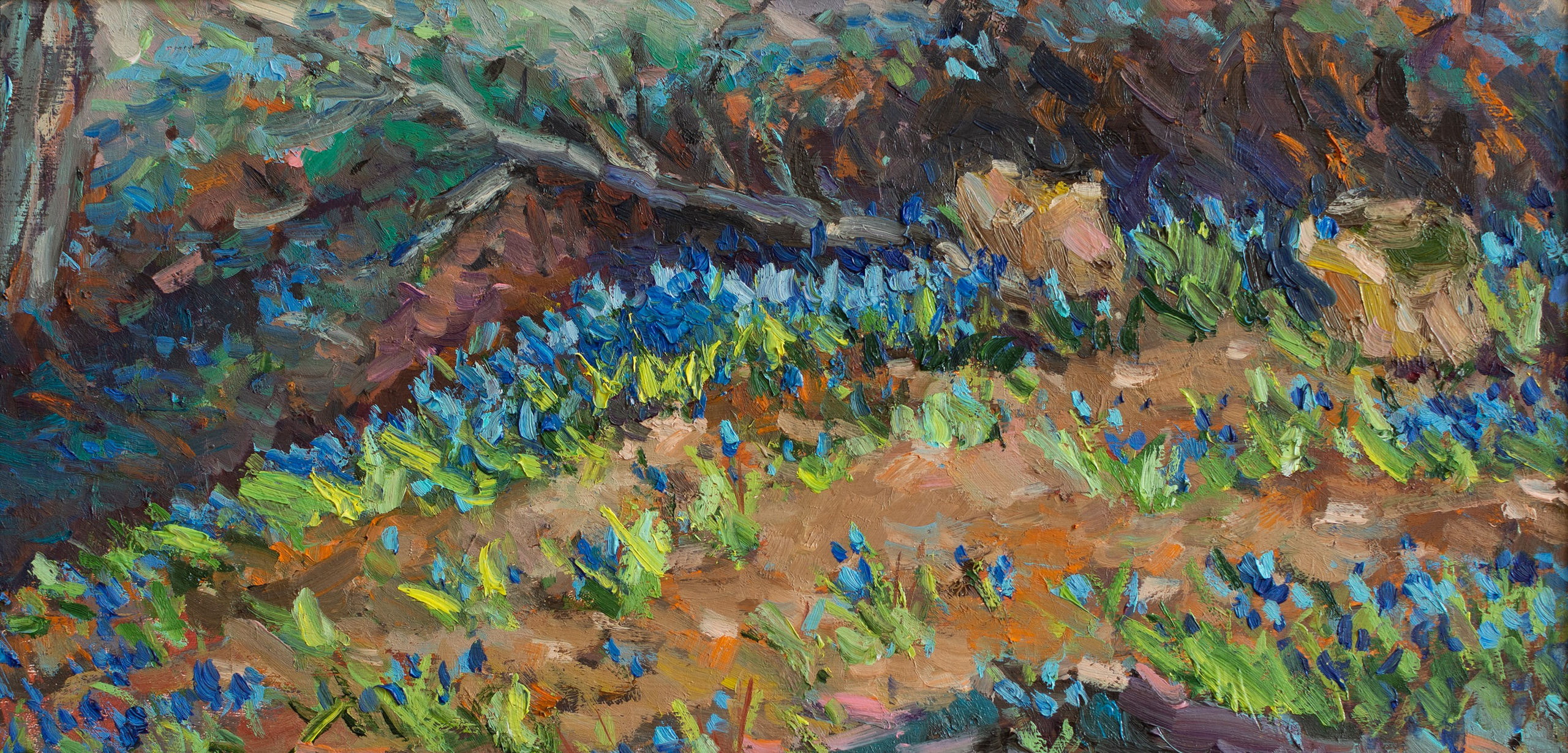 "Весенние лучики.Этюд" картон, масло 20х40см, 2025г