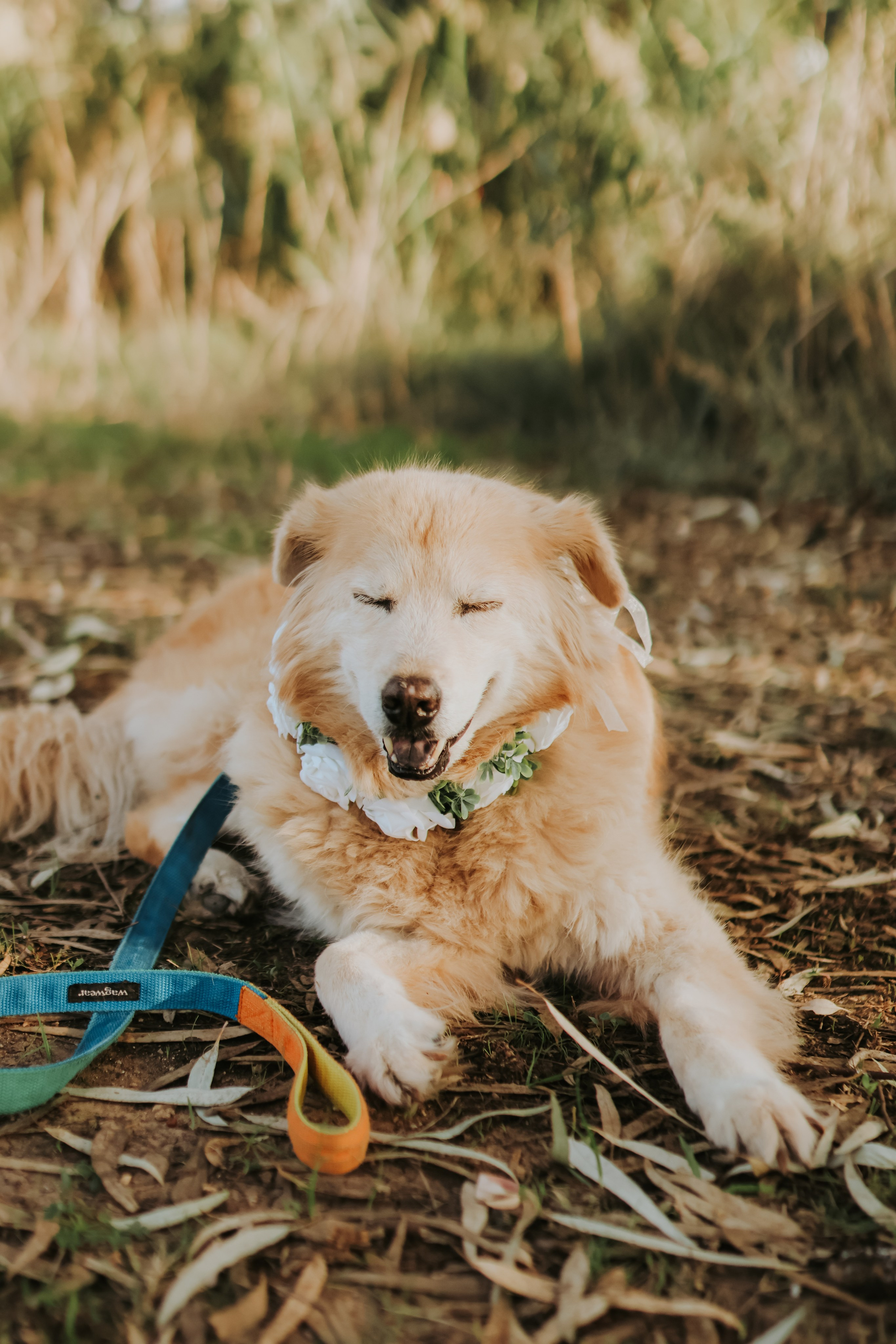 Sabrina's family, Tel Aviv | November 2025. Photographer in Israel Alice Milchin