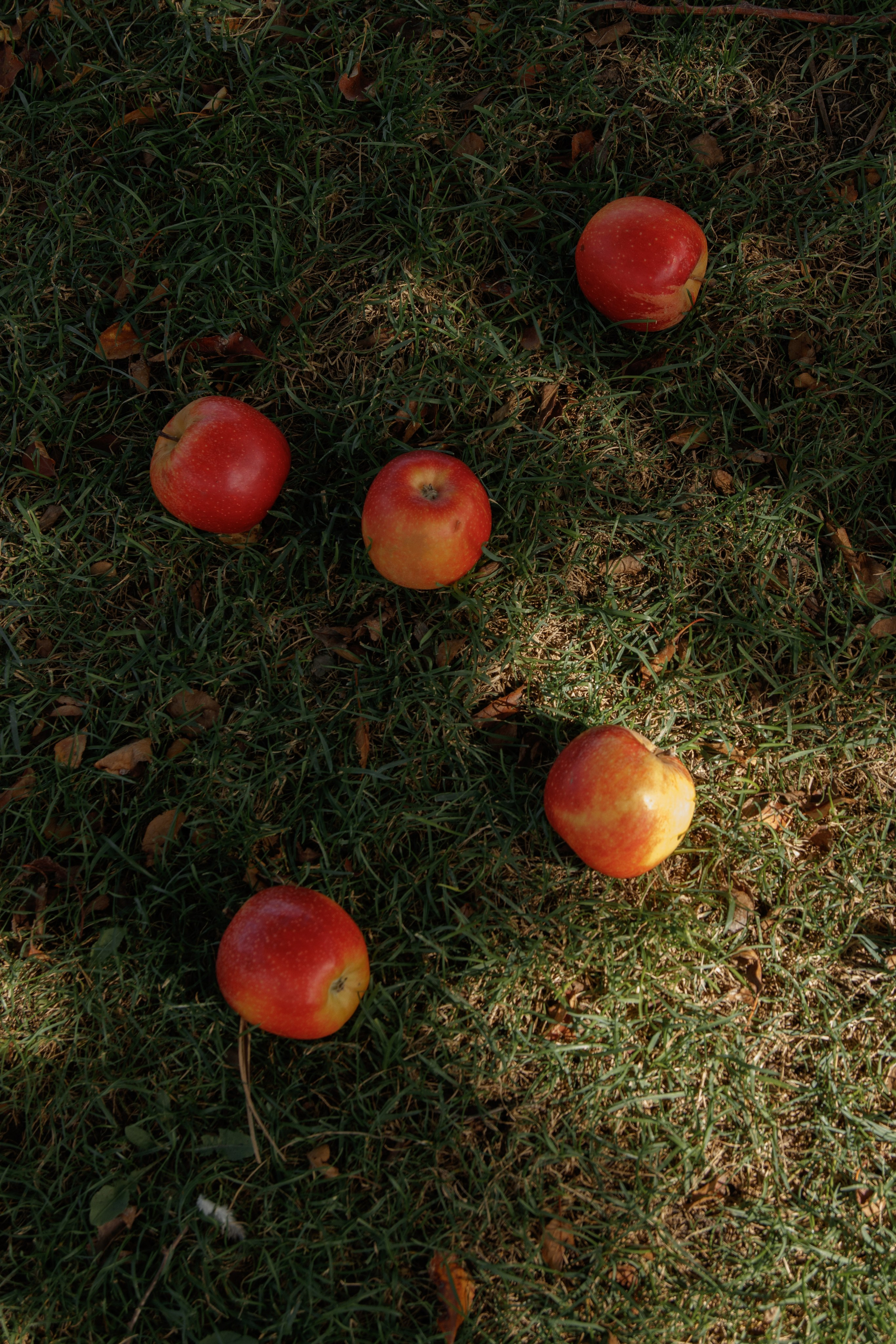 Юлия. Фотограф Анапа, Новороссийск, Краснодар