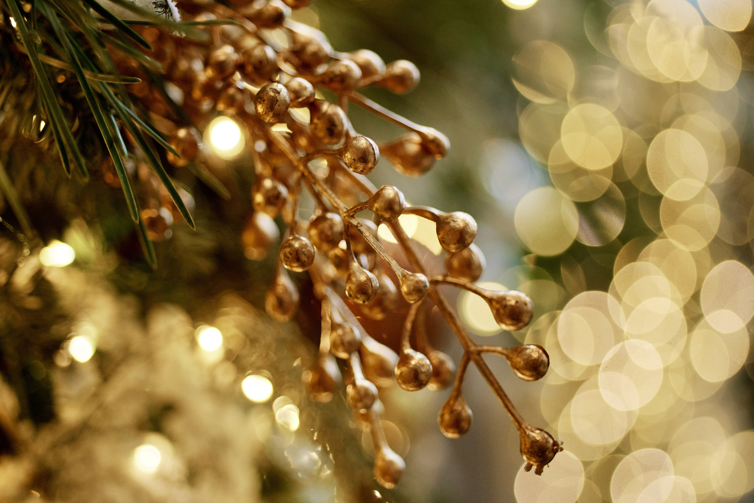 «Деловые шахматы». Фотограф Роман Арыкин Екатеринбург