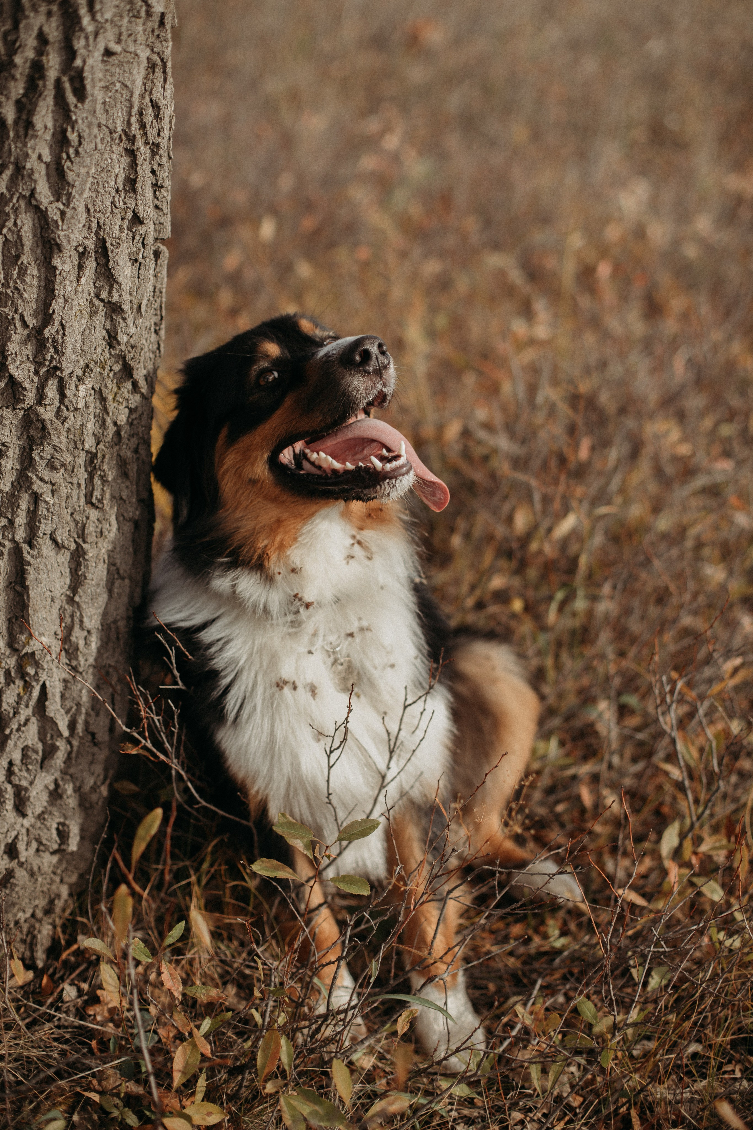 А давай запустим воздушного змея?. Семейный фотограф в Самаре