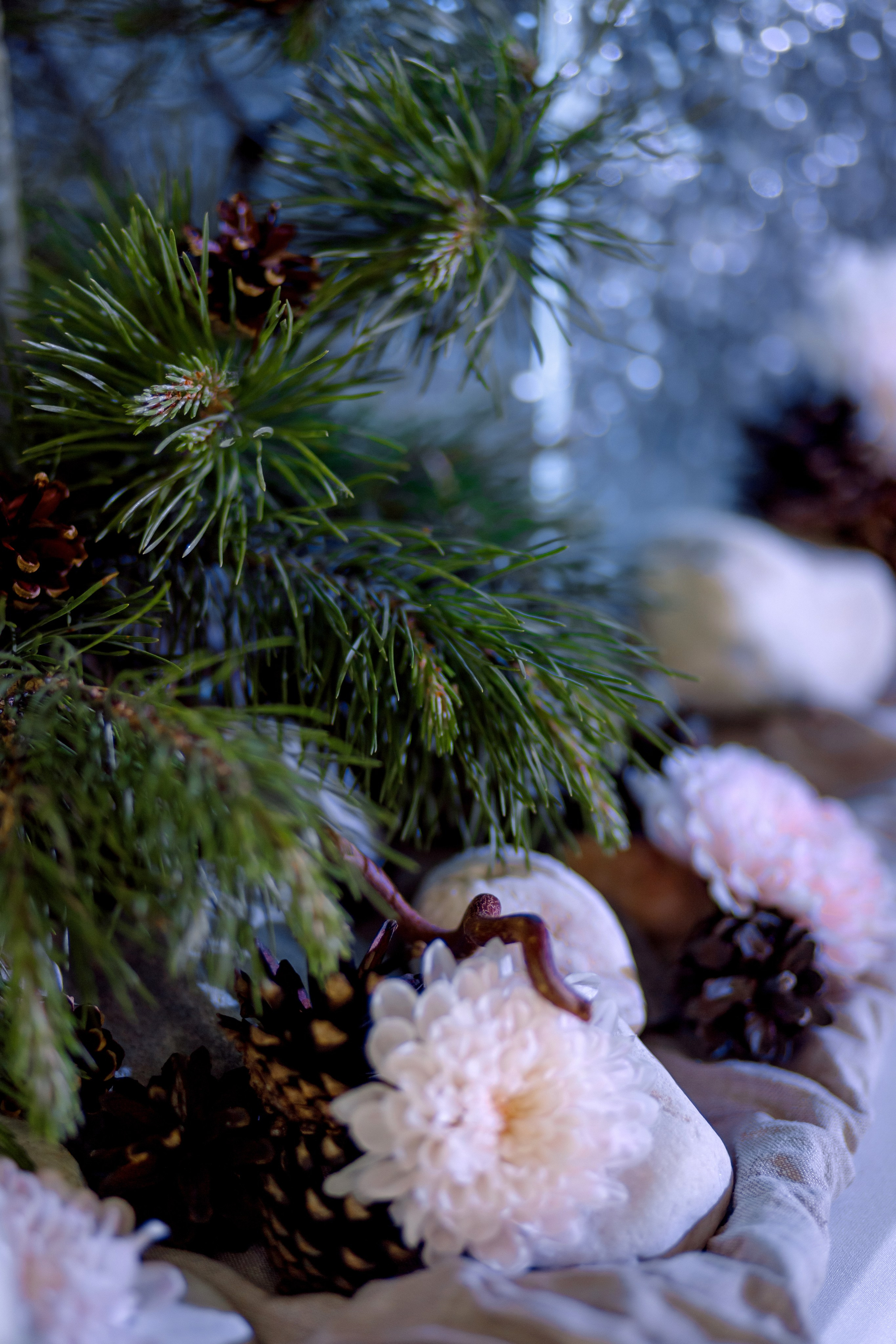 Открытие ресторана Plato Arshan (Villa Malina). Свадебный фотограф Иркутск, репортажный фотограф Иркутск