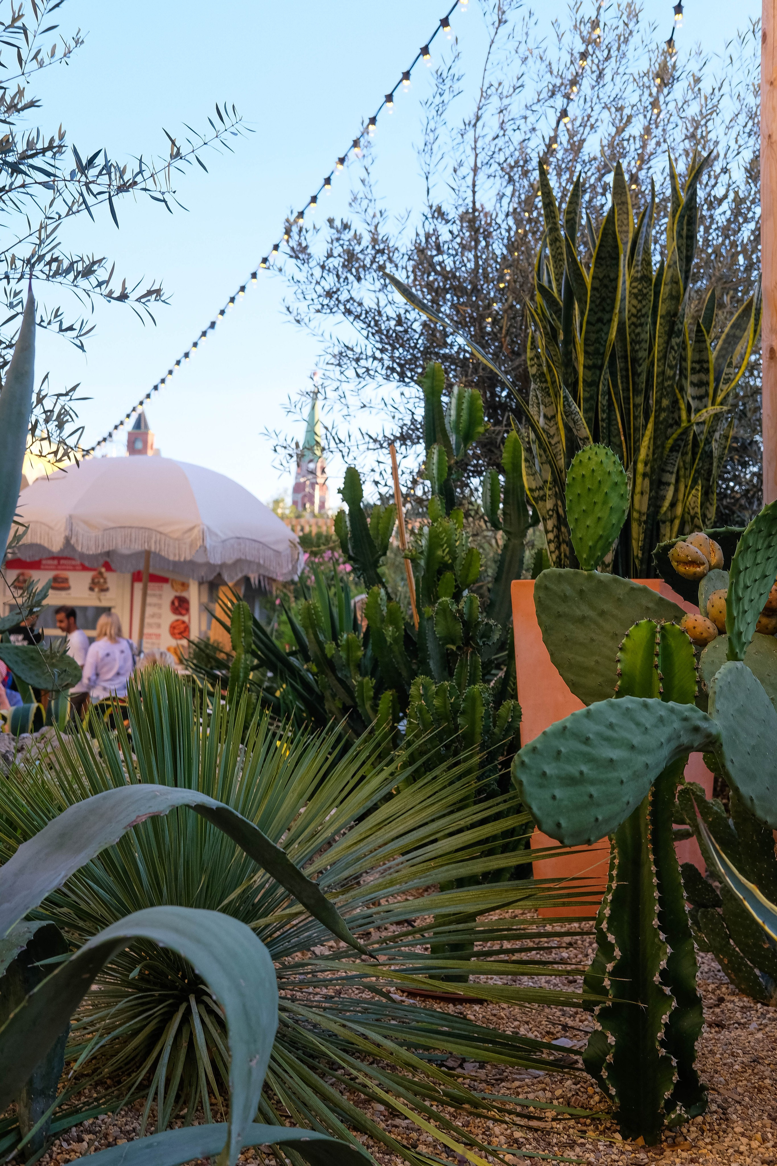 Москва 2024. Свадебный и семейный фотограф в Новосибирске, Санкт-Петербурге, Москве