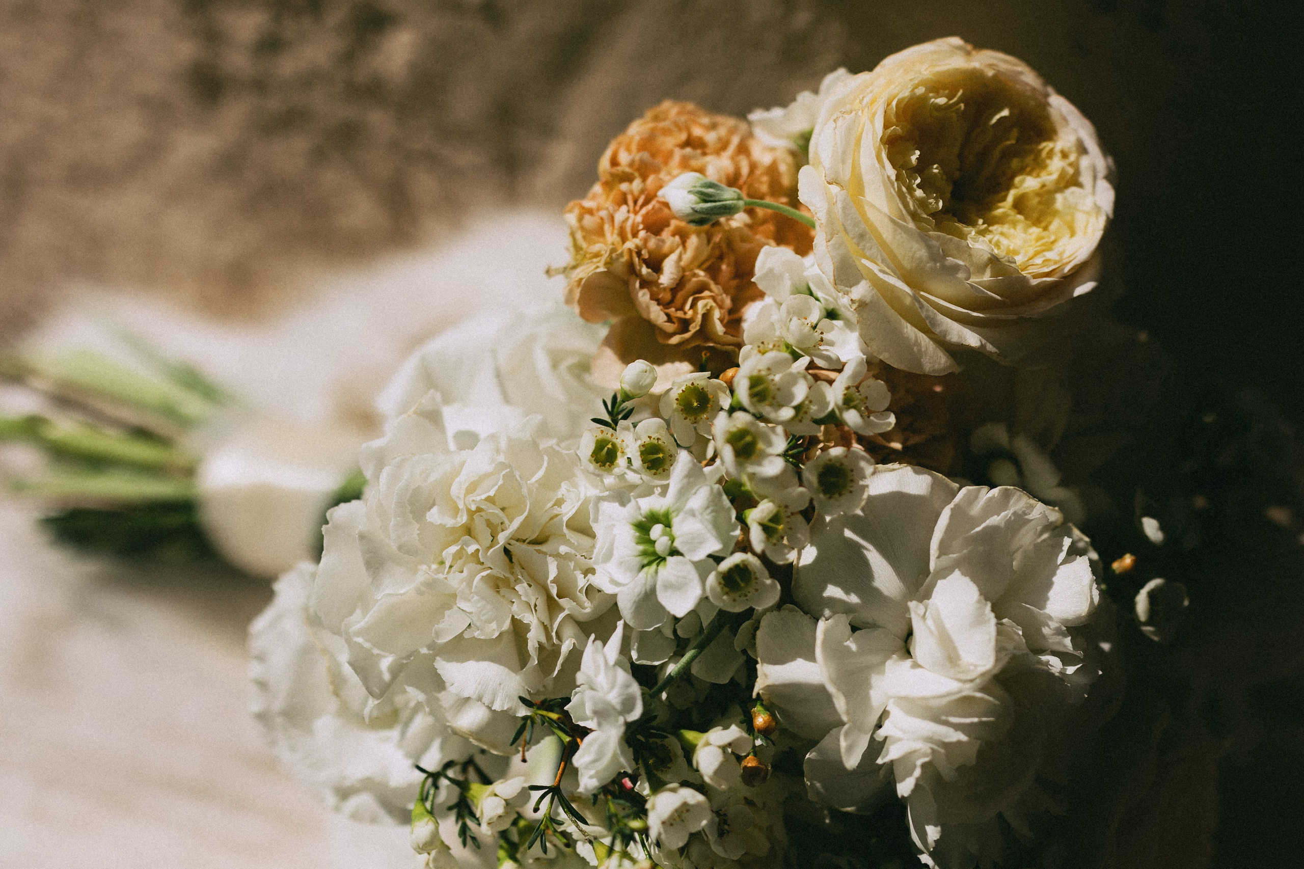 Лиза и Кирилл. Daria Chigintseva Photographer