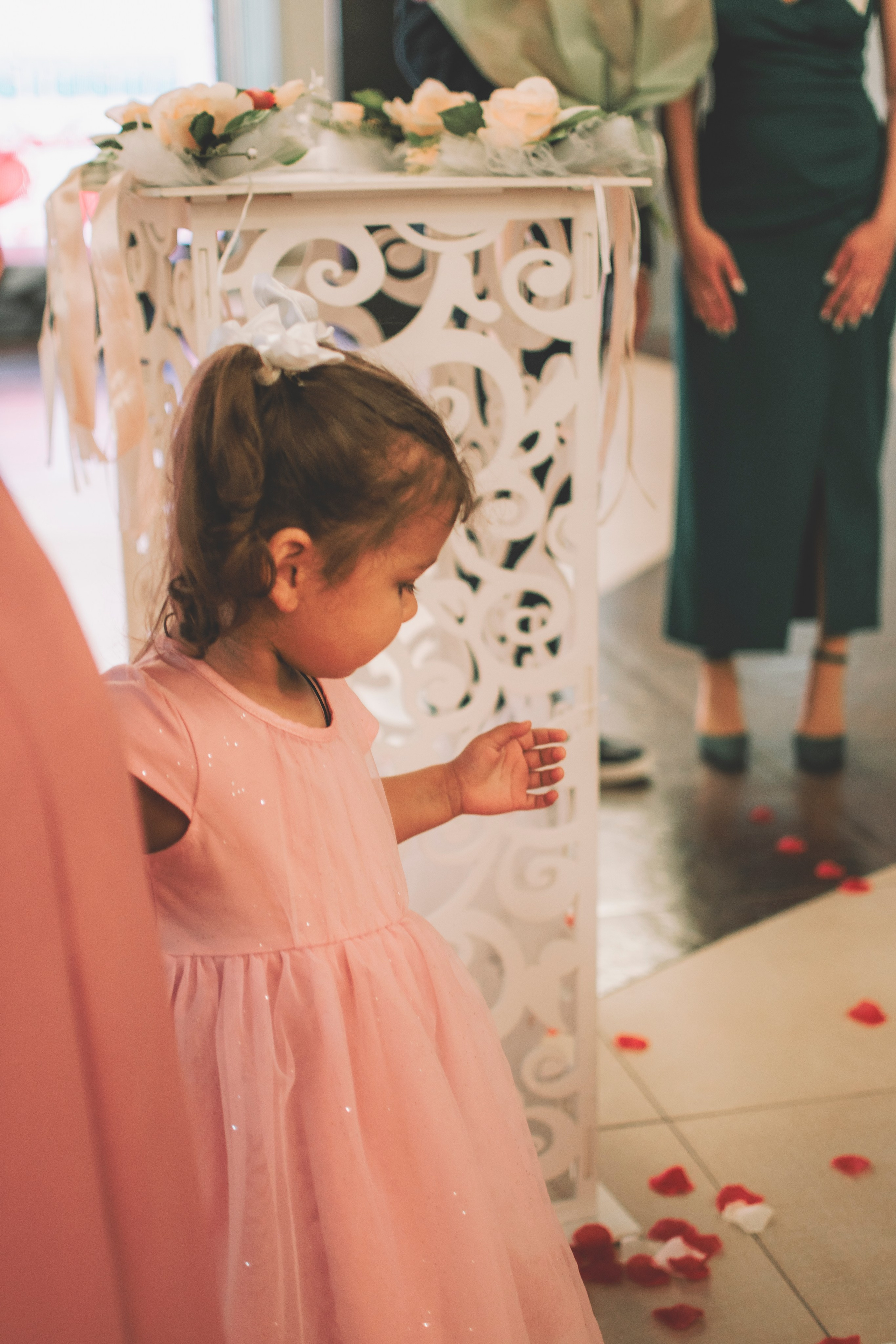 Альберт и Анастасия (Студийная фотосессия, роспись в ДК Нефтяник + фотосессия с гостями). Семейный и свадебный фотограф Губкинский и Ставрополь