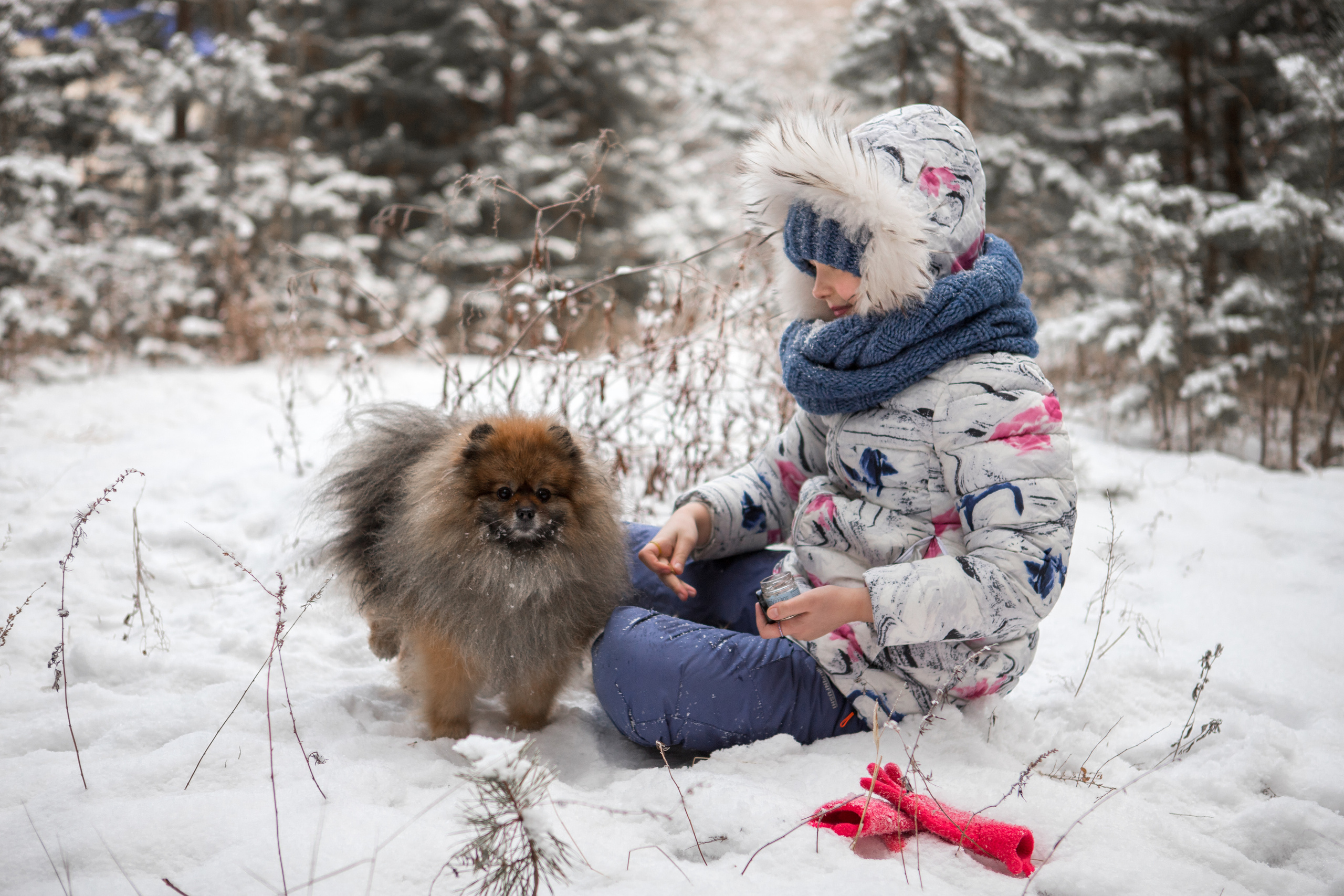 Прогулка с питомцем. Фотограф в г. Чита — Наталья Кириллова