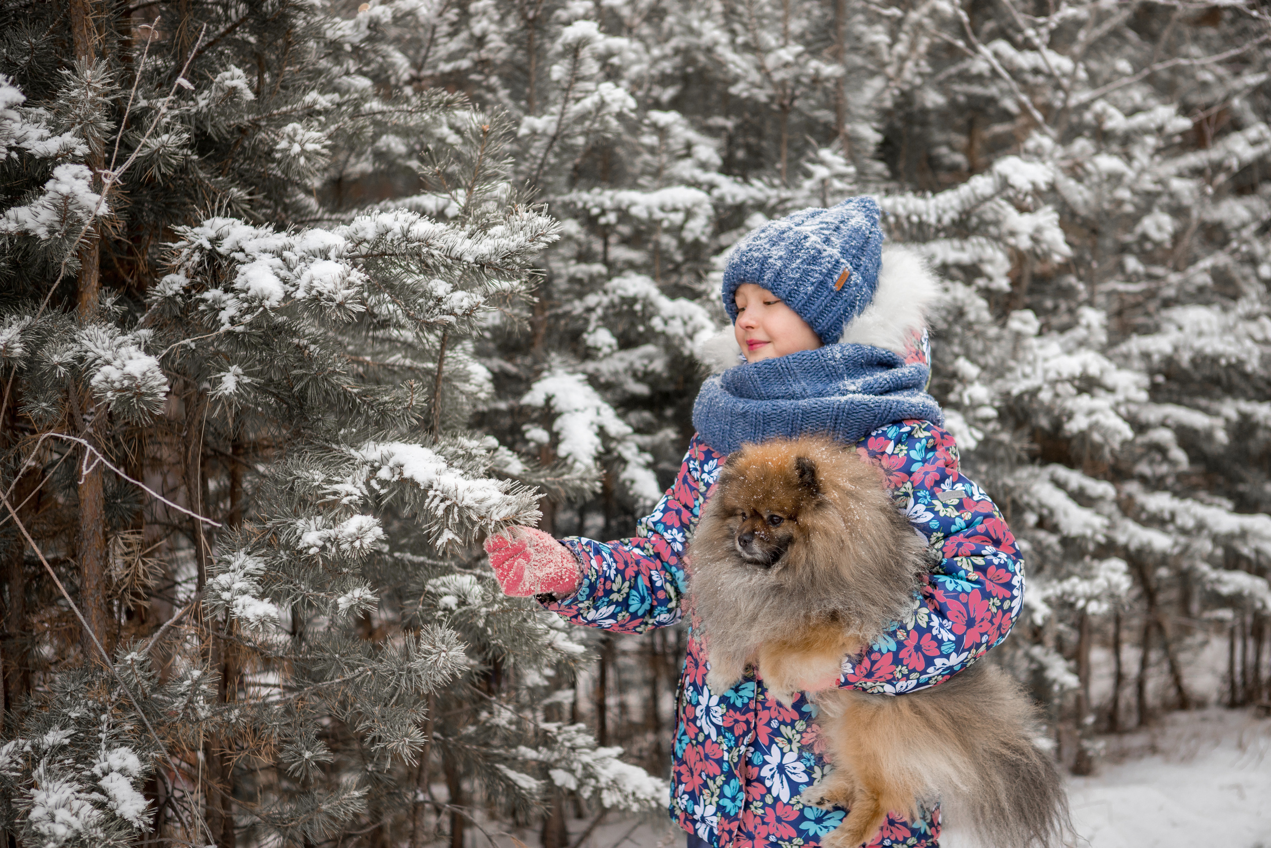 Прогулка с питомцем. Фотограф в г. Чита — Наталья Кириллова