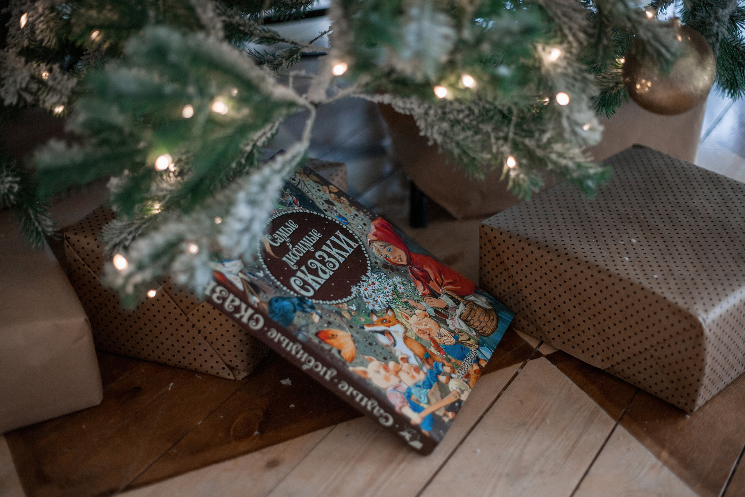 Новый год. Фотограф в г. Чита — Наталья Кириллова