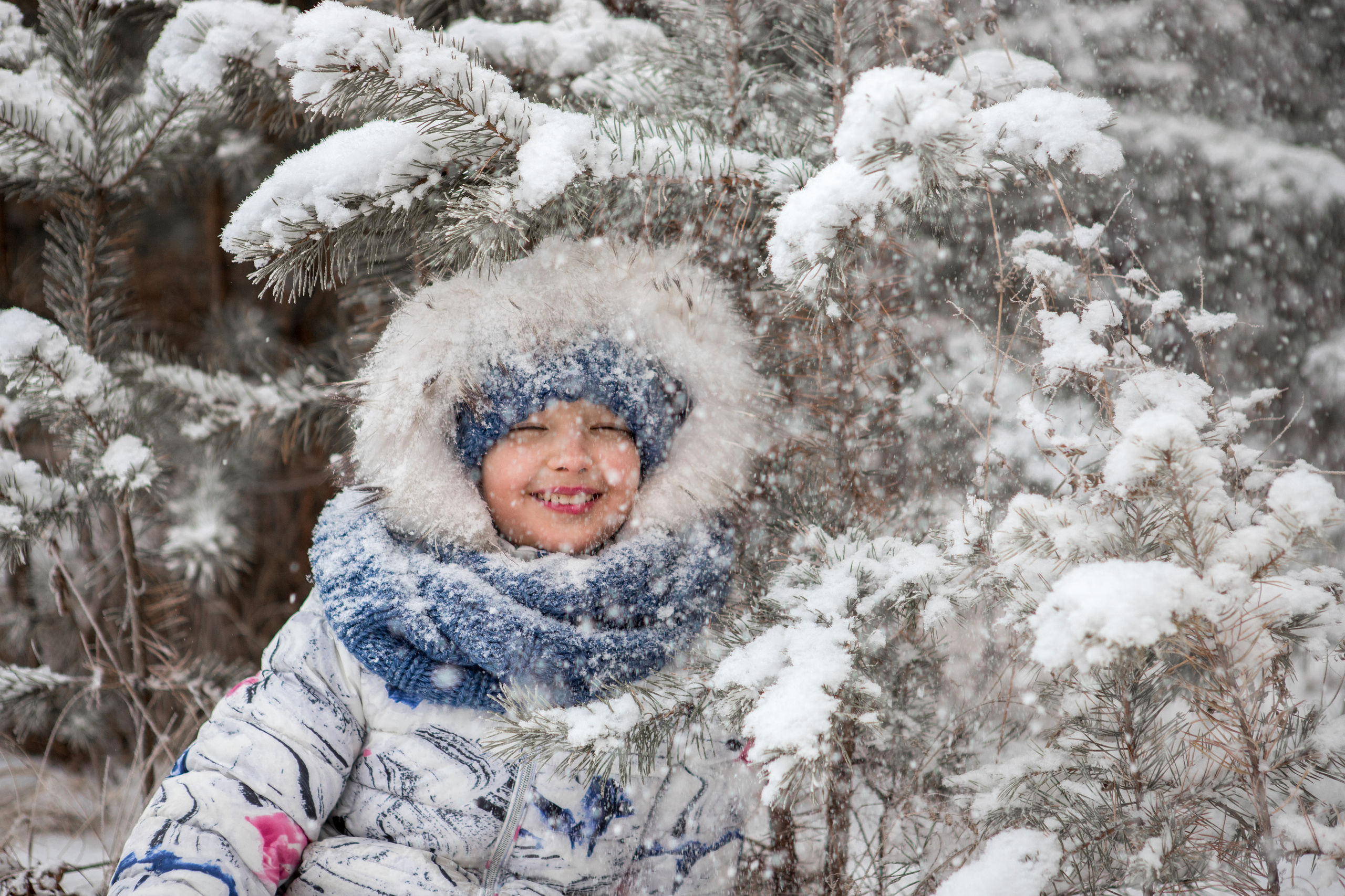 Прогулка с питомцем. Фотограф в г. Чита — Наталья Кириллова