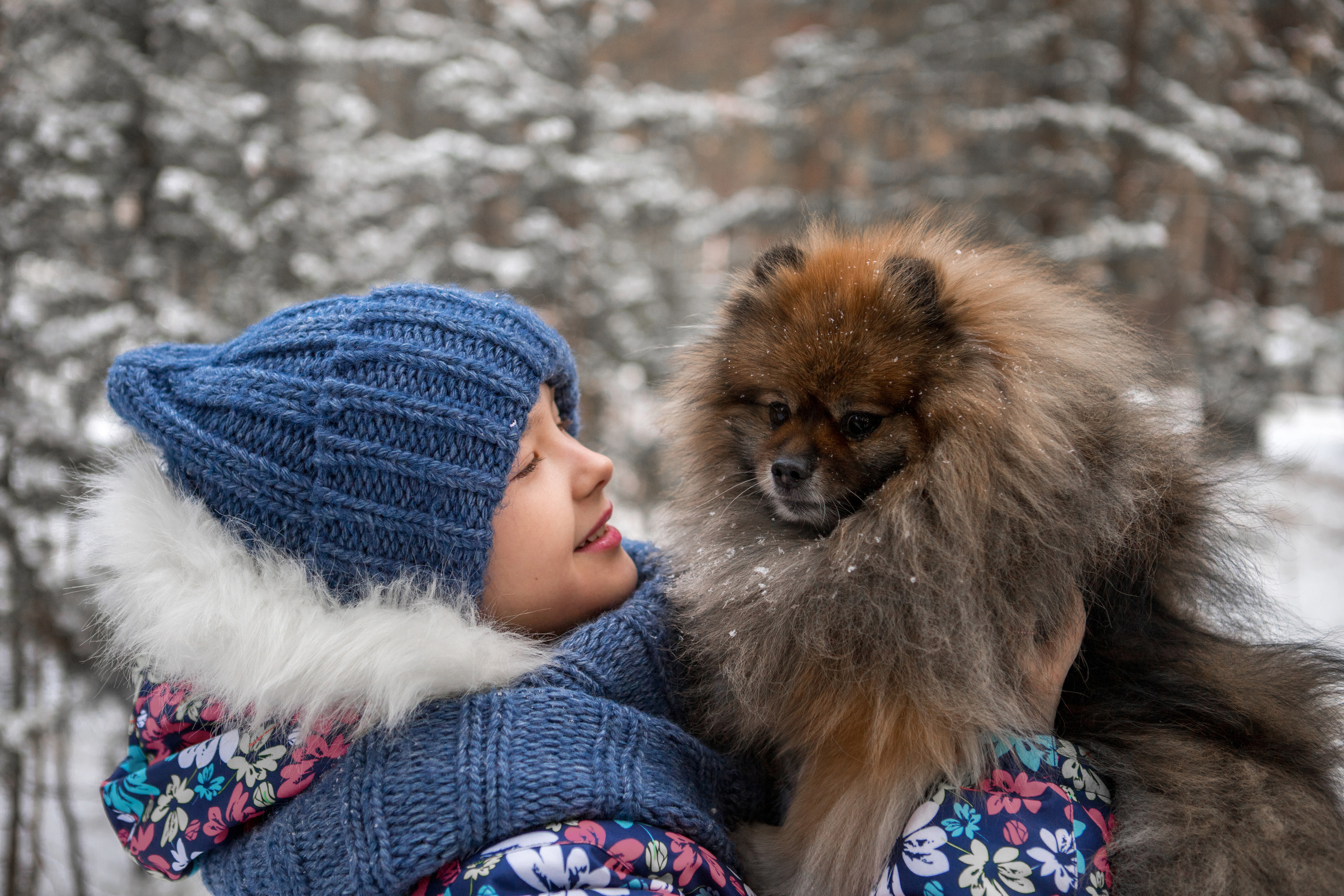 Прогулка с питомцем. Фотограф в г. Чита — Наталья Кириллова