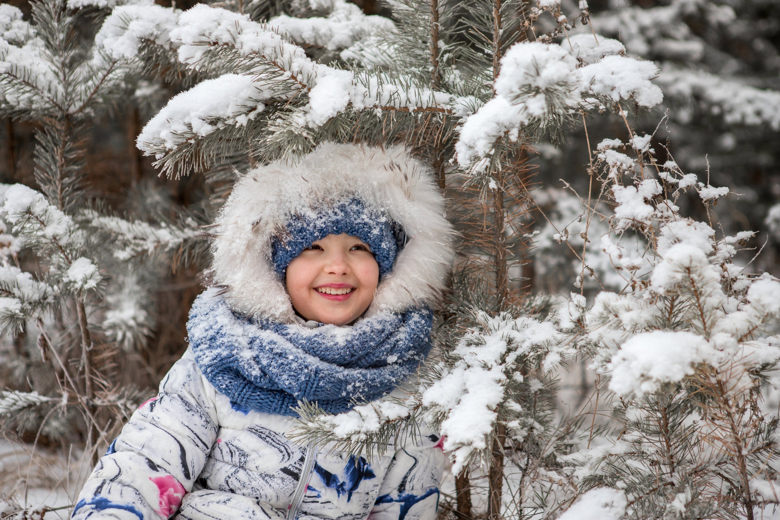 Прогулка с питомцем. Фотограф в г. Чита — Наталья Кириллова