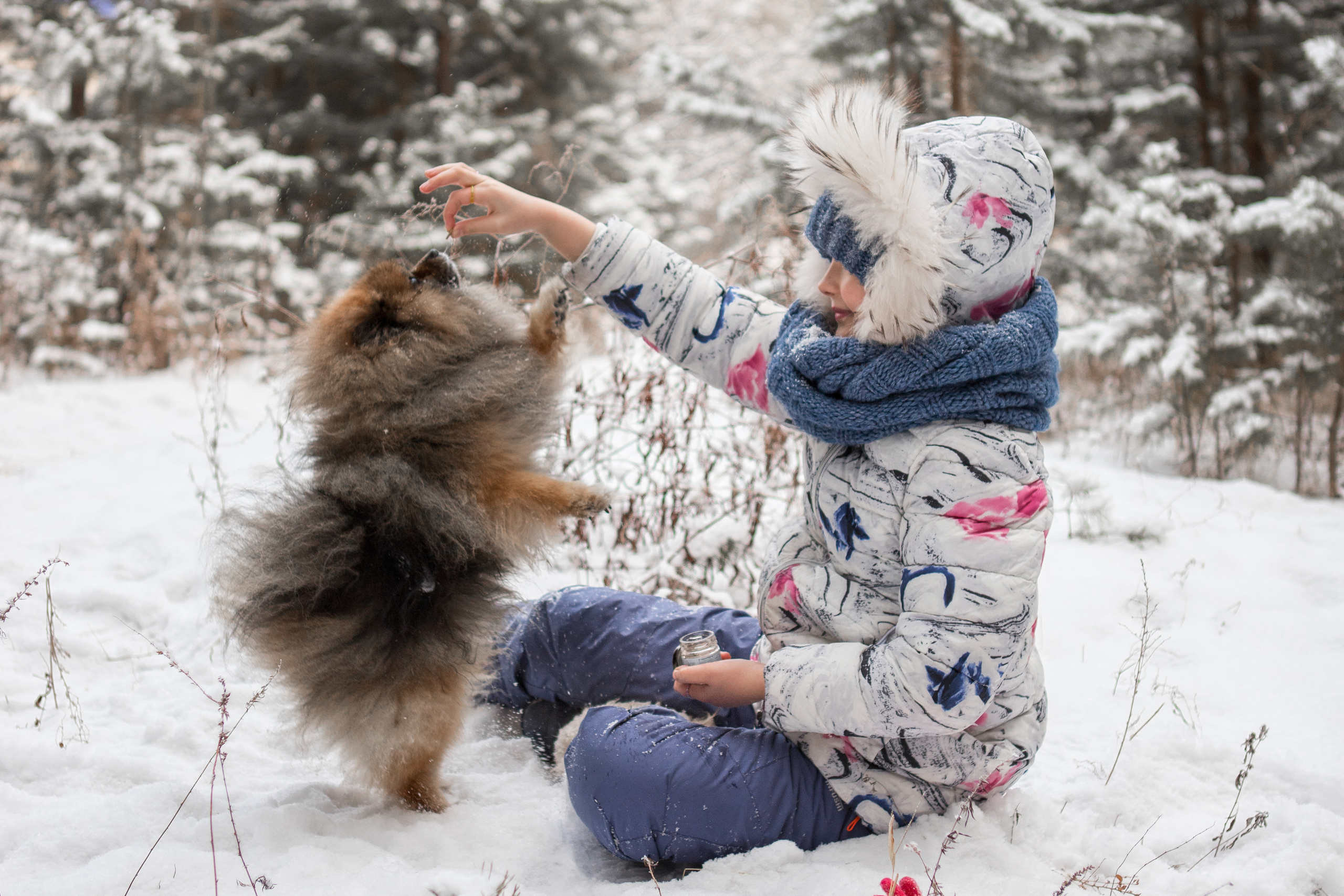 Прогулка с питомцем. Фотограф в г. Чита — Наталья Кириллова
