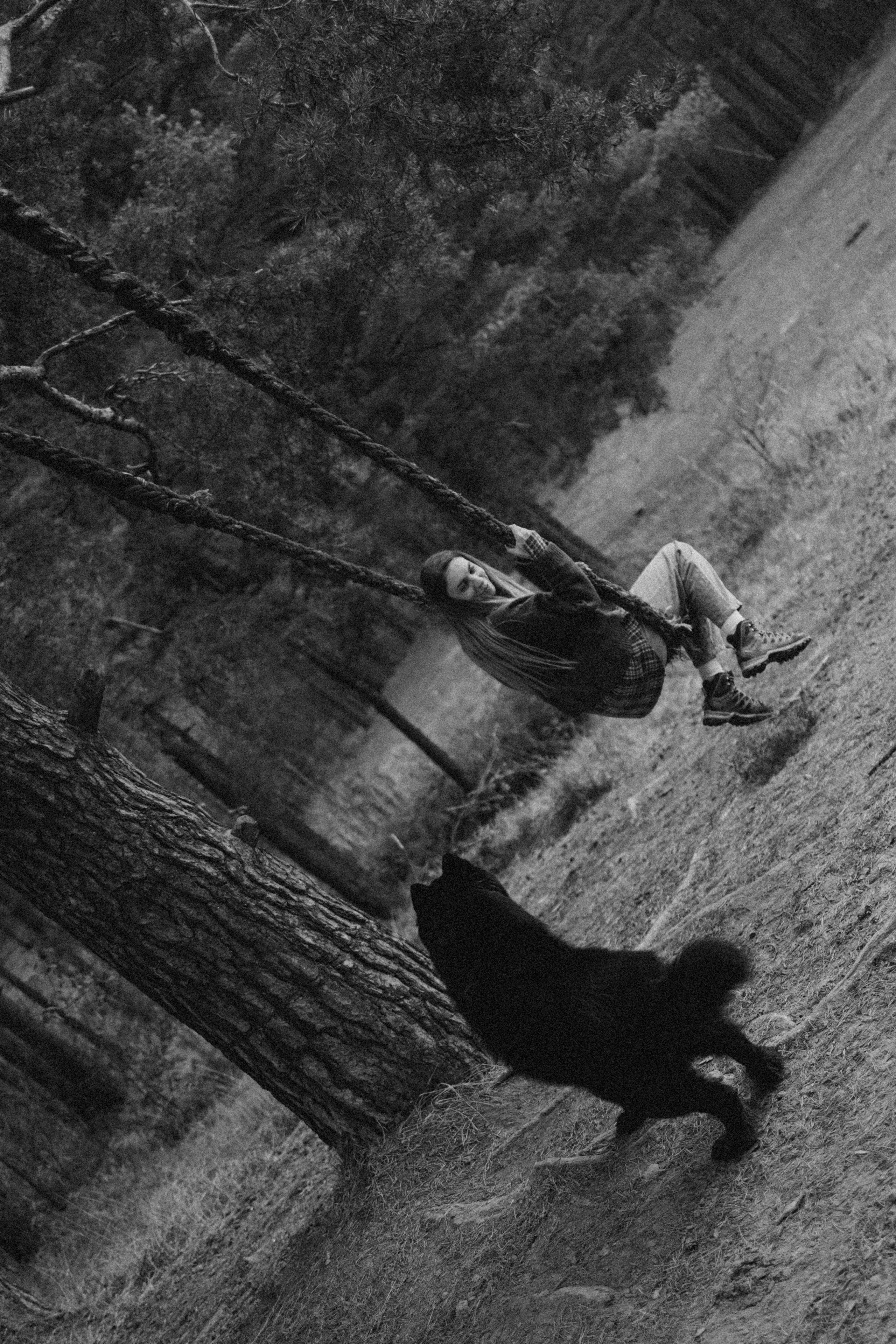 Лора и Джанго. Фотограф — Анималист | Санкт-Петербург