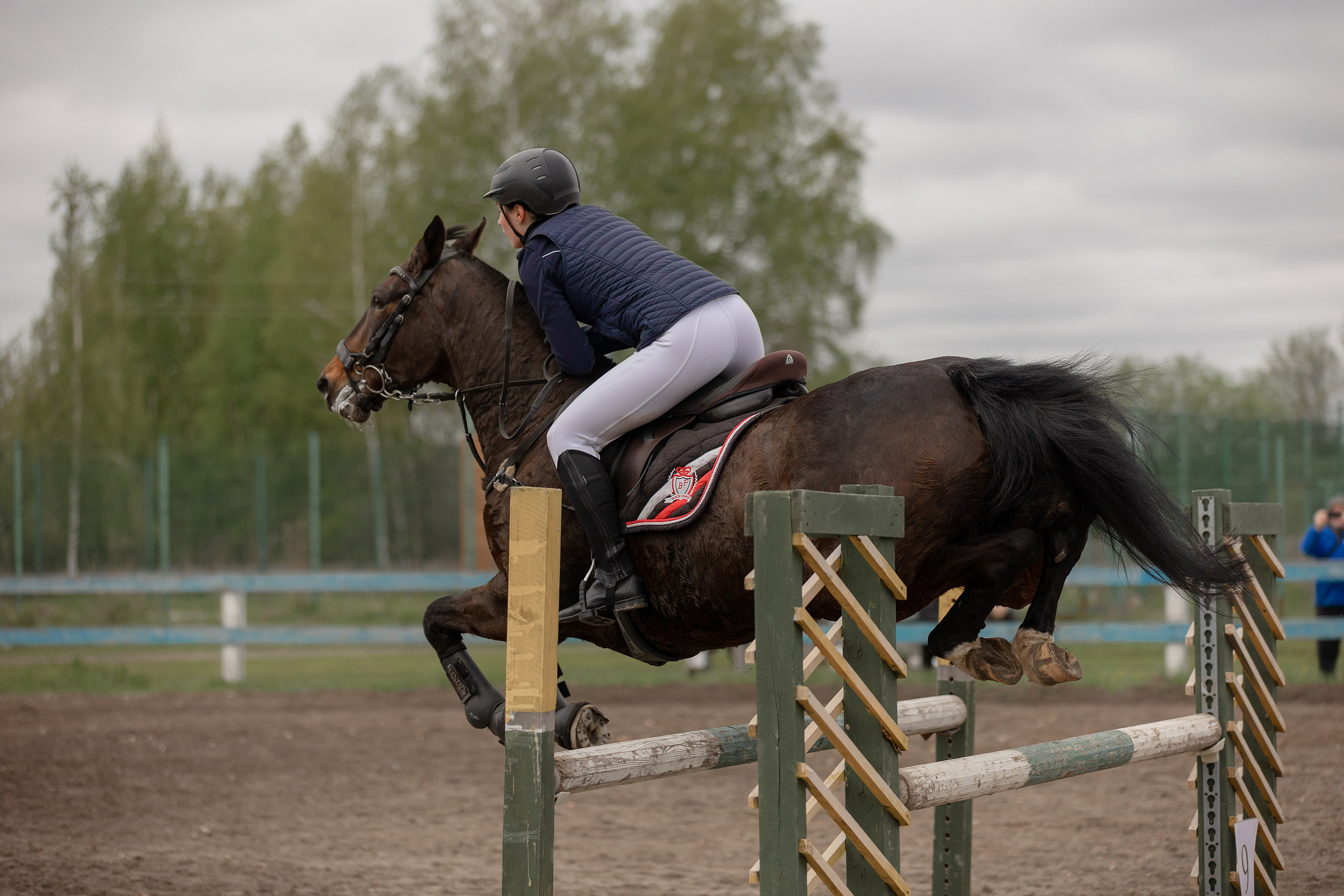 Соревнования по конному спорту. Конный фотограф Валынкина Лера