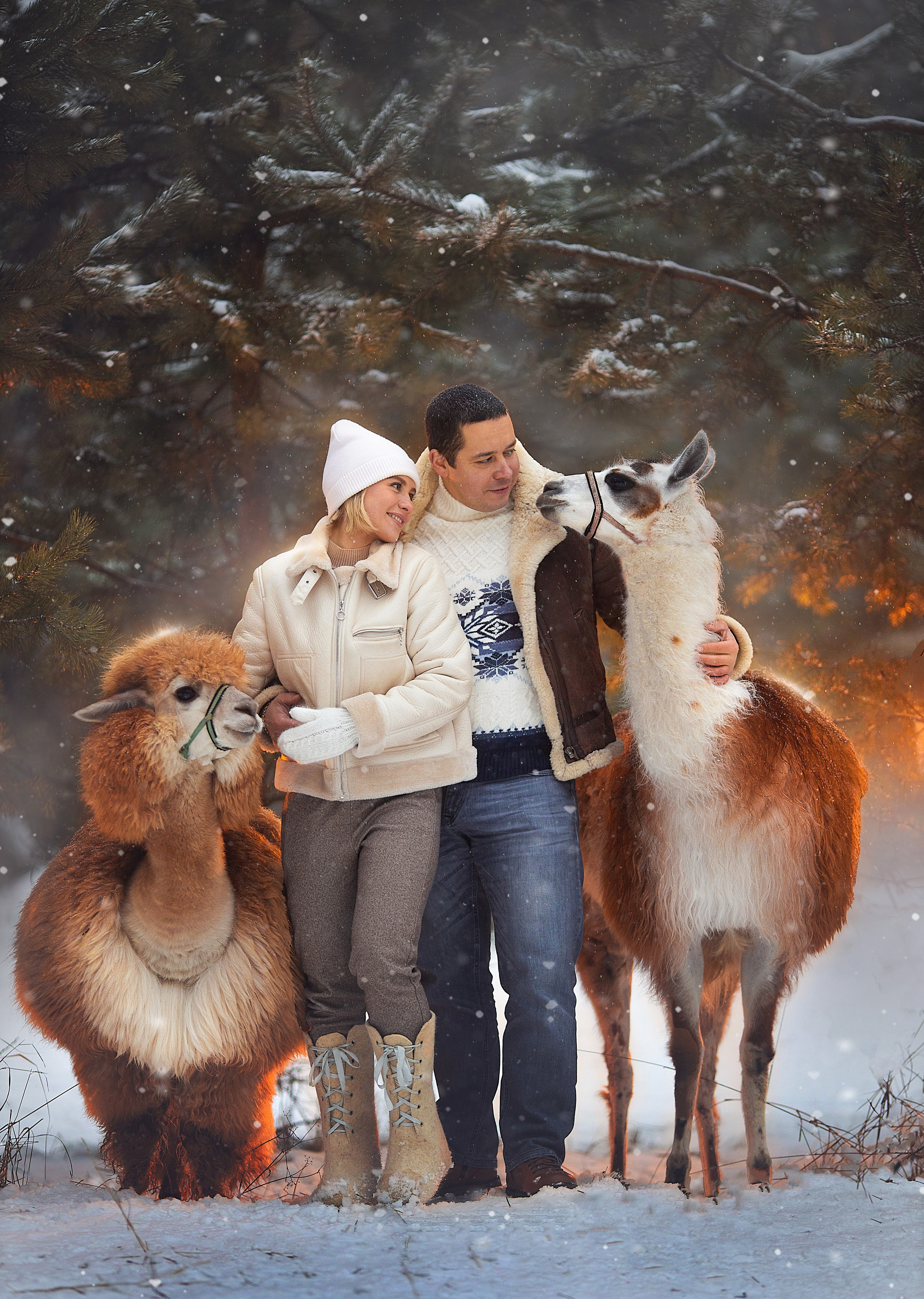 Фотосессия с альпаками. Фотограф Лия Милк | Москва, Подмосковье